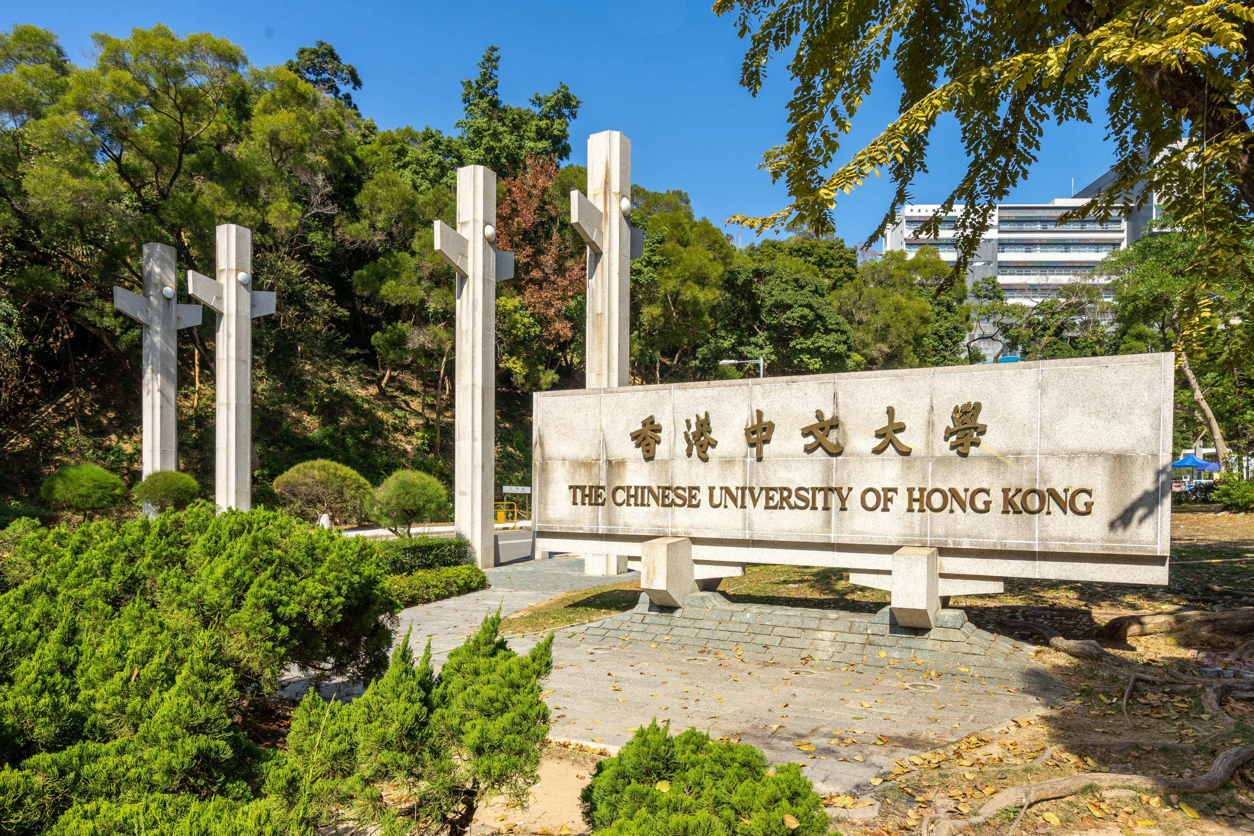 Six of the eight students achieving perfect scores on the university entrance examinations this year were admitted by CUHK. Photo: Shutterstock