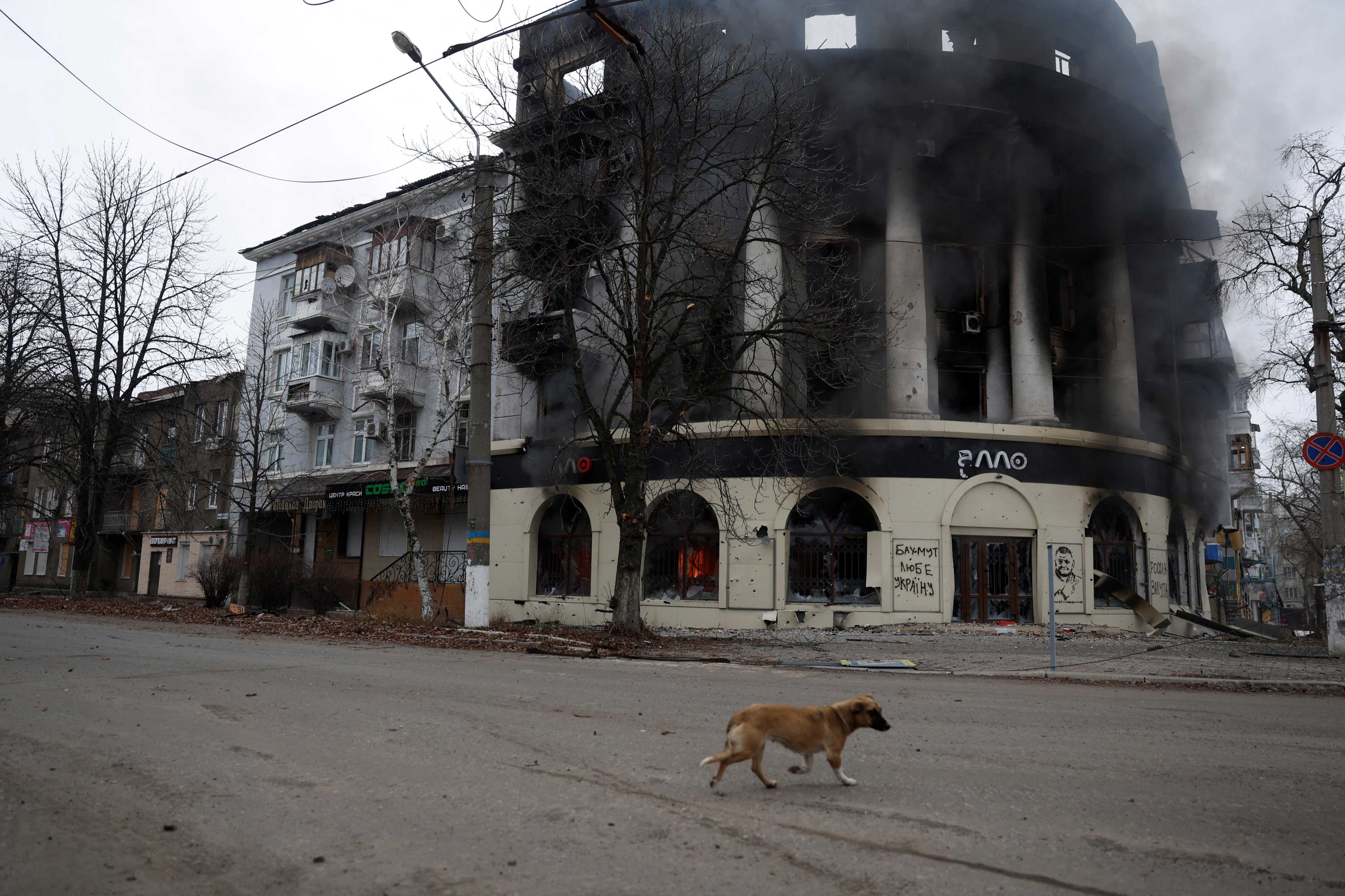 A dog walks past a building burned from a Russian strike during intense shelling in Bakhmut, Ukraine on December 26, 2022. Photo: Reuters 