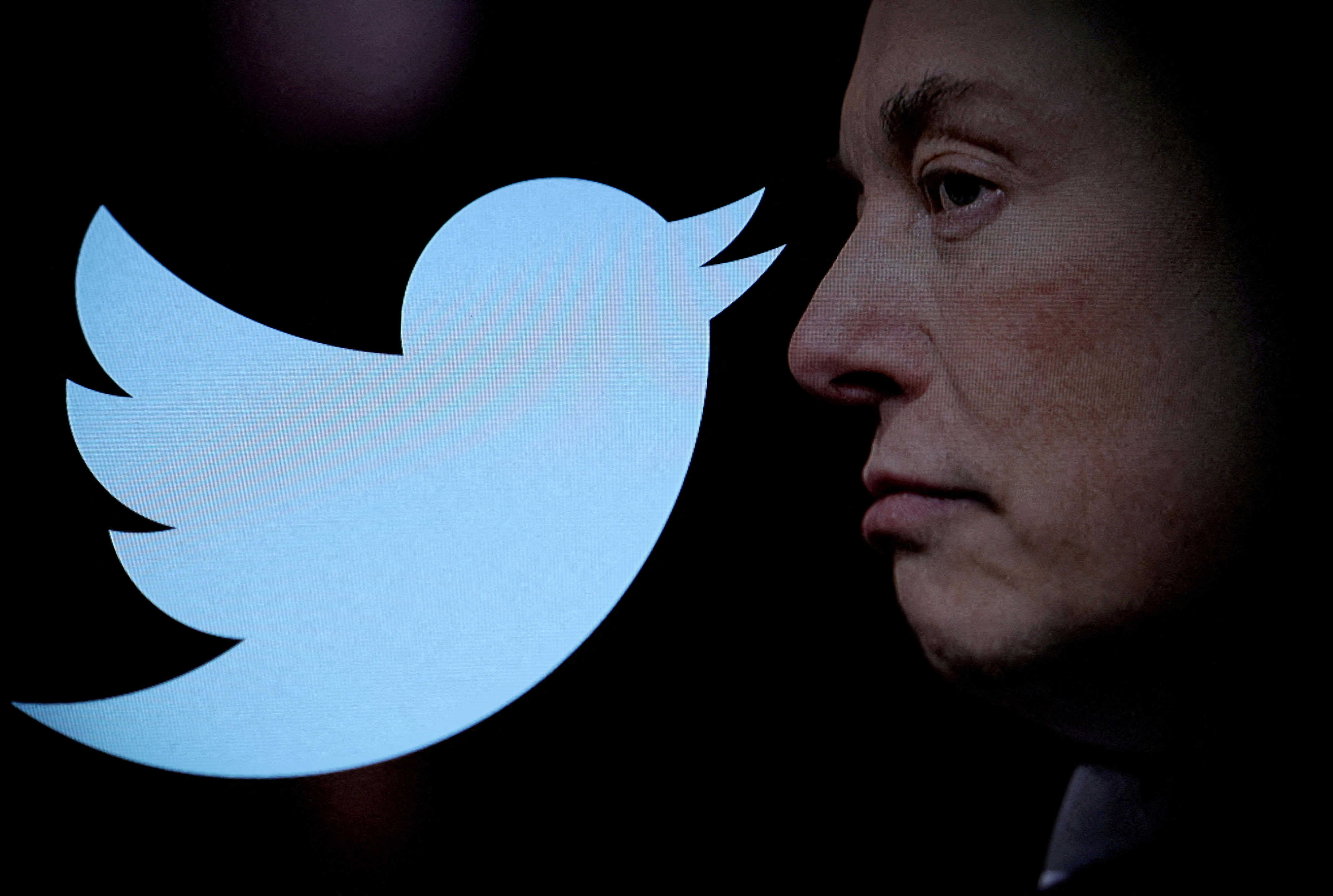 Two computational social scientists at City, University of London found climate denial posts peaked the month after Tesla billionaire Elon Musk took over the platform. Photo: Reuters