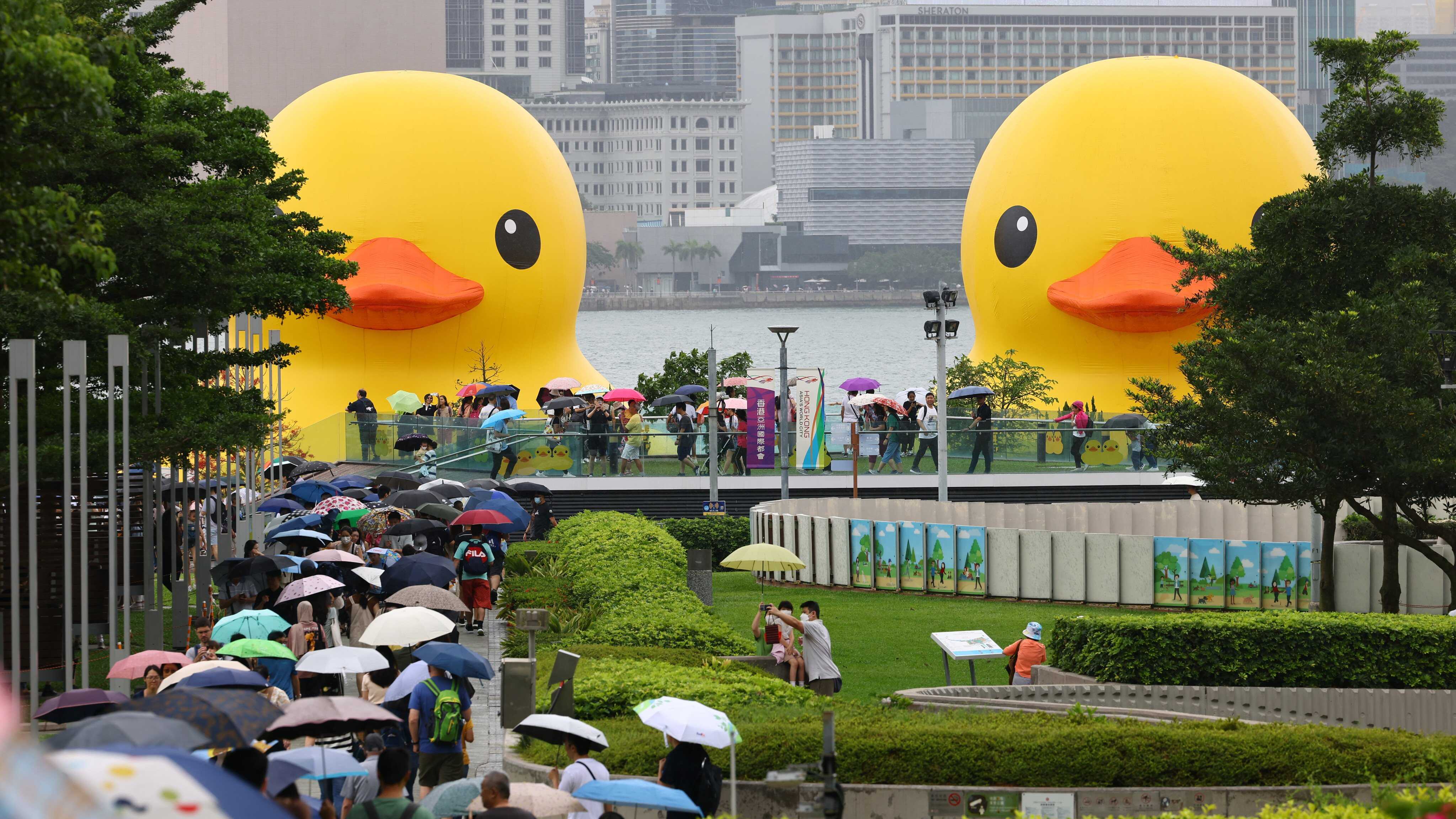 Duck Banck From Donald Duck to B.Duck, our 6 favourite feathery friends from pop ...