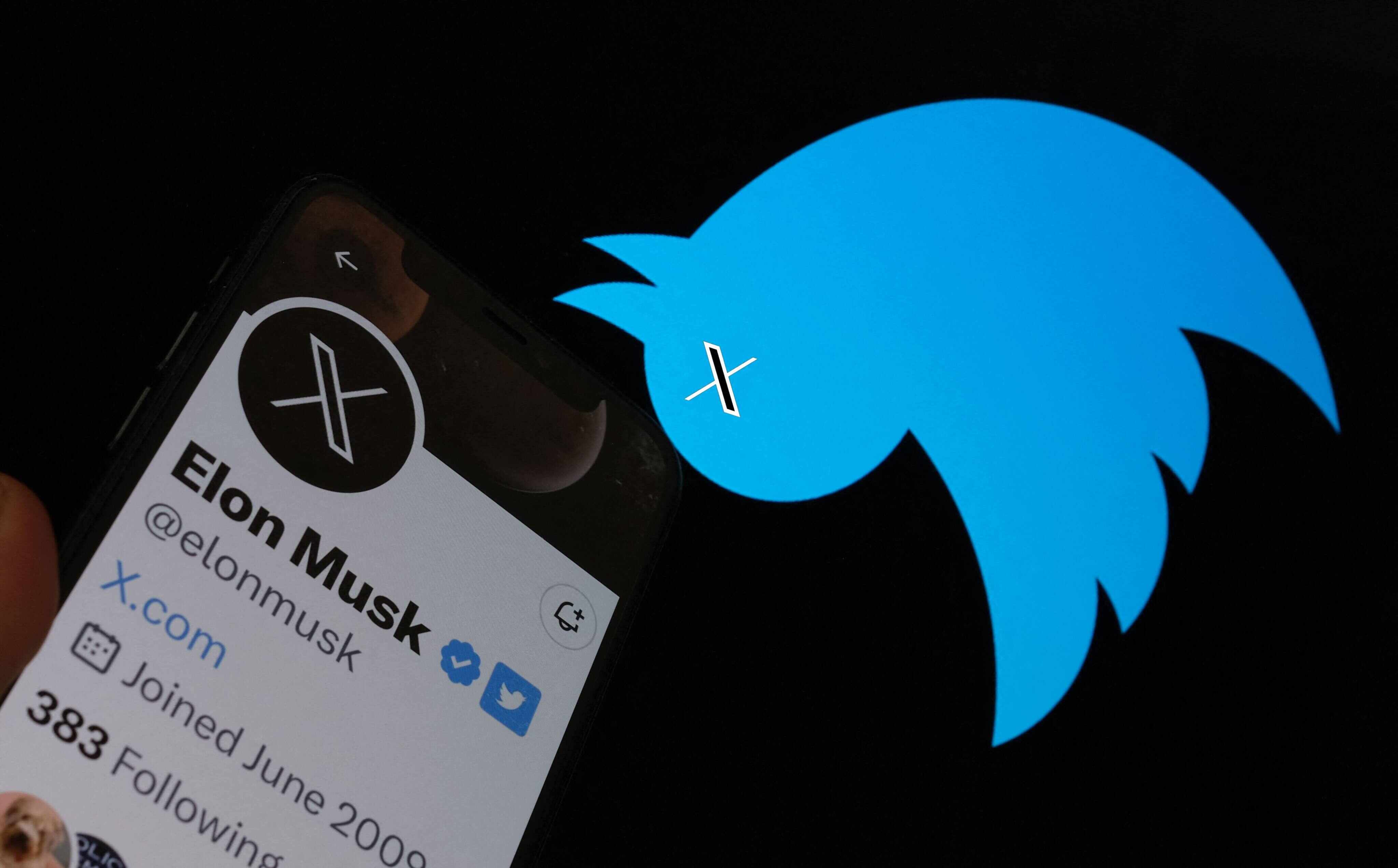 Twitter blue bird has flown as CEO Elon Musk announces X logo, new name |  Young Post Club