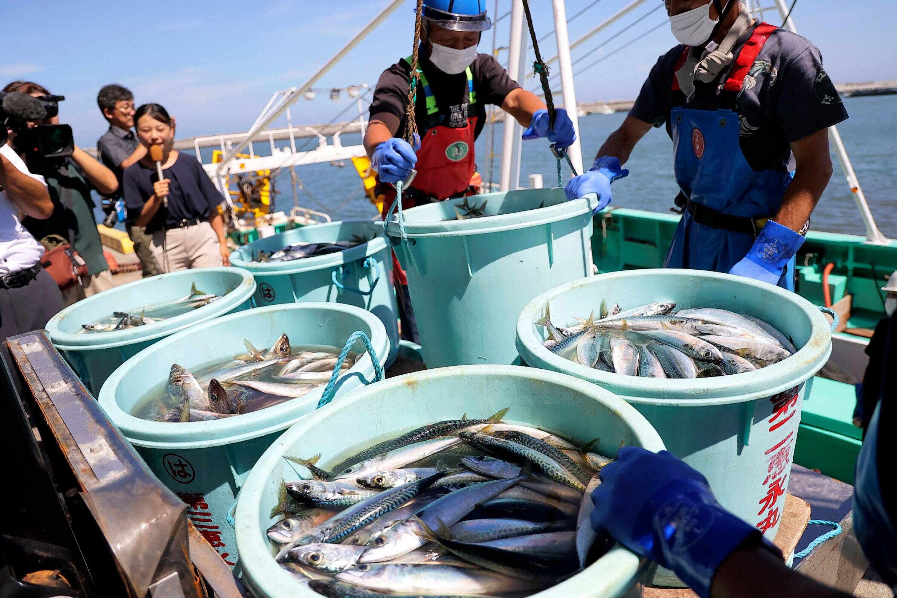 Hong Kong’s ban targets imported aquatic products including live, chilled, dried and preserved goods. Photo: AFP