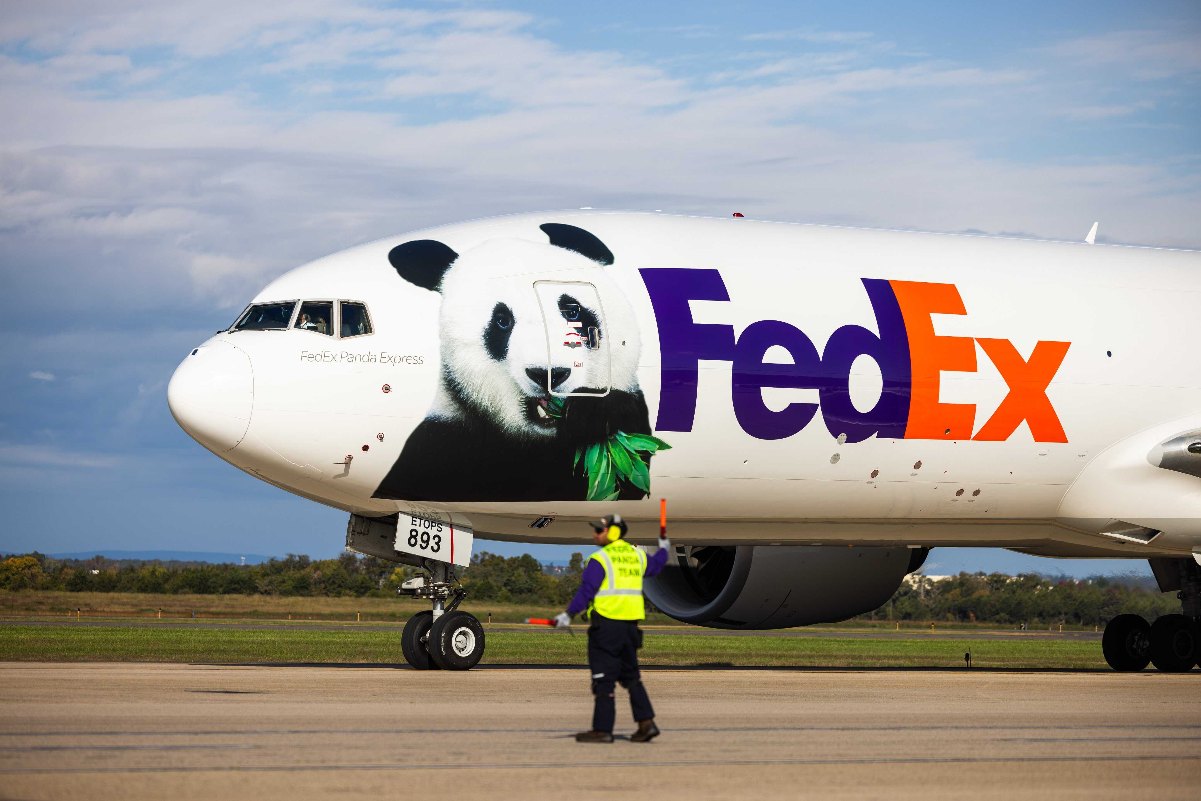 Bao Li and Qing Bao arrive in Washington DC for new chapter in panda ...