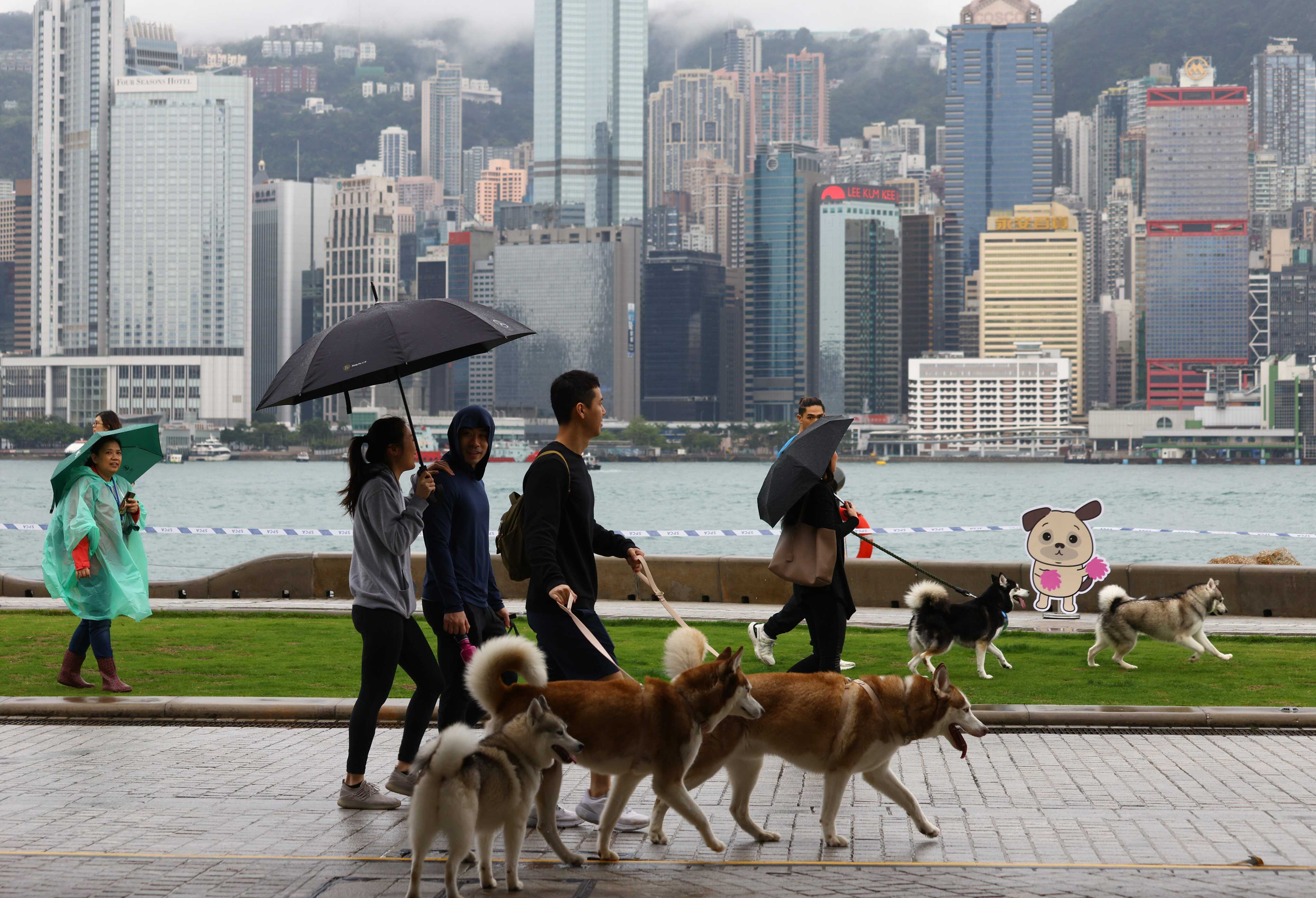 Hong Kong’s annual Dogathon is a step towards a more humane, animal-friendly society, one reader writes. Photo: Dickson Lee