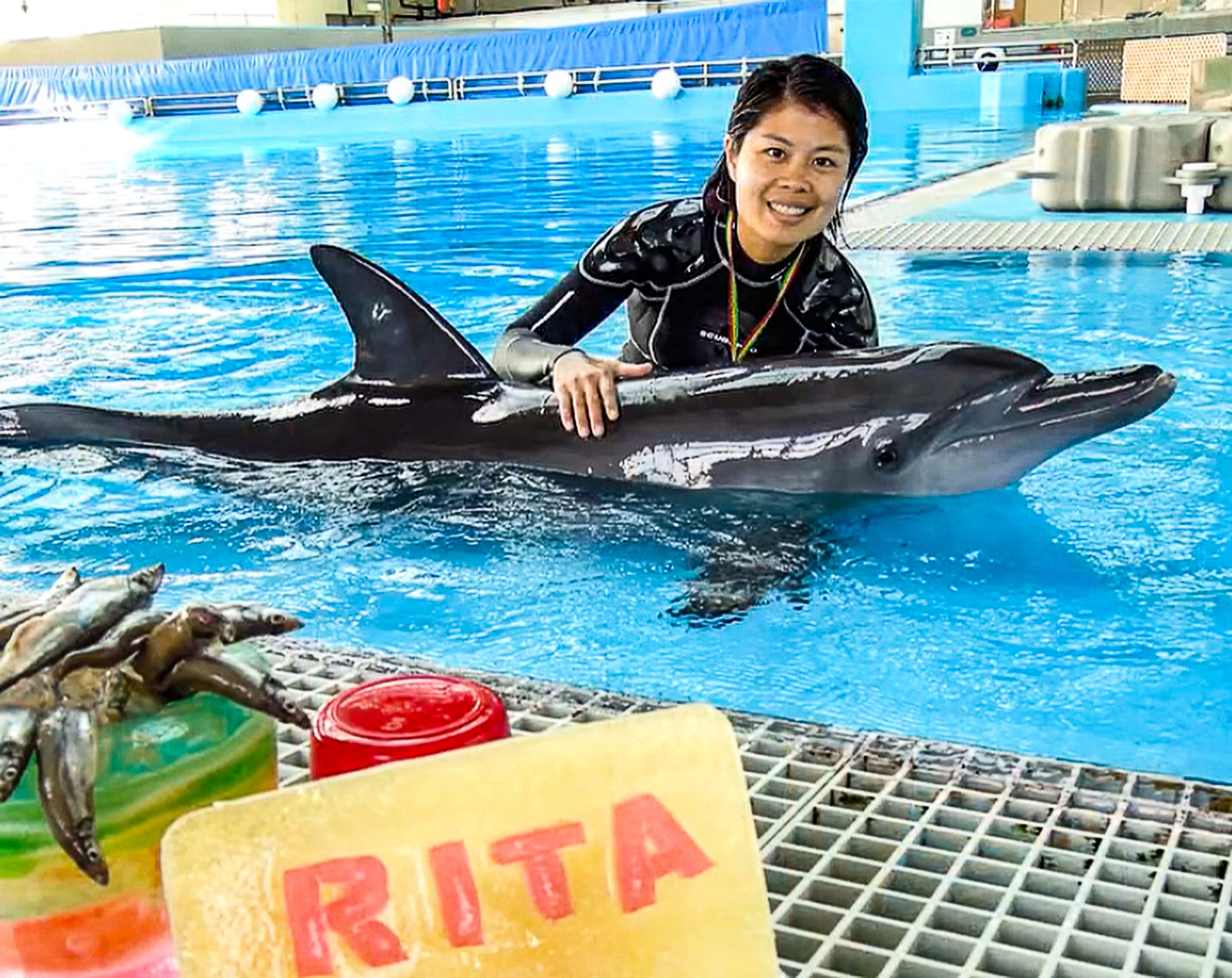 A 24-year-old Indo-Pacific bottlenose dolphin died in Hong Kong’s Ocean Park on Sunday afternoon. Photo: Ocean Park