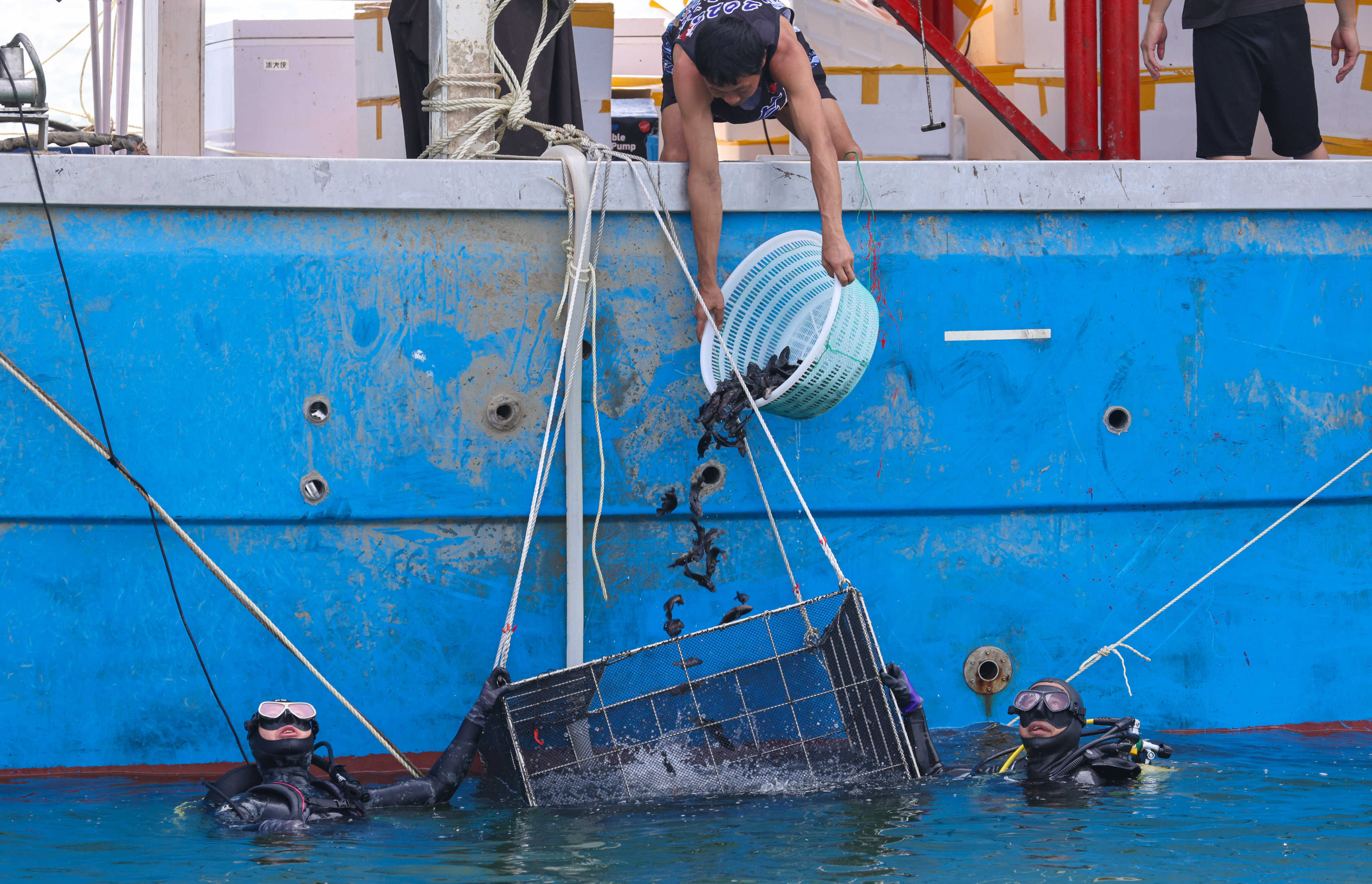Hong Kong authorities have released 83,500 juvenile fish into waters near the airport. Photo: Nora Tam