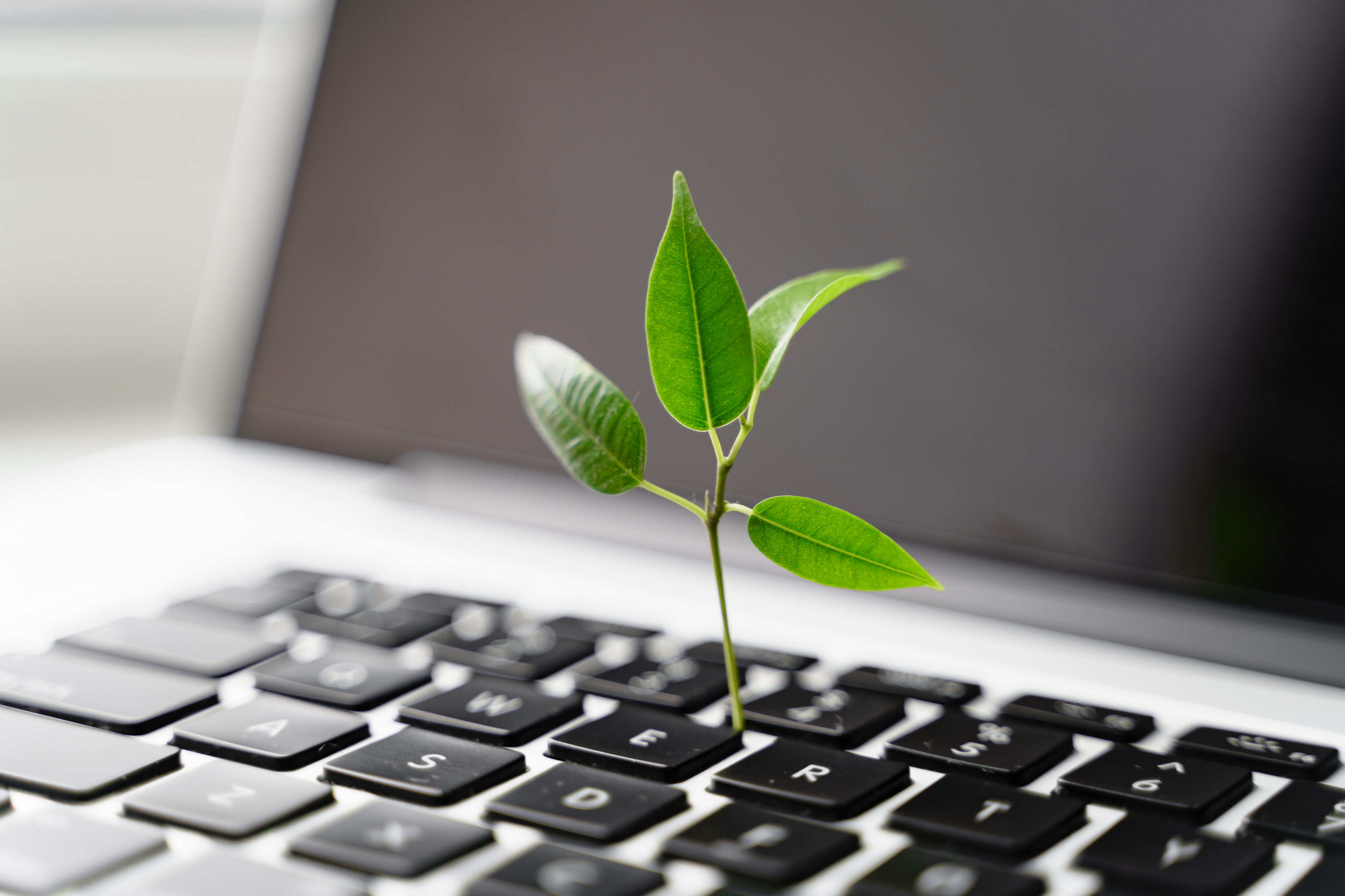 What green ideas can you create? Photo: Shutterstock