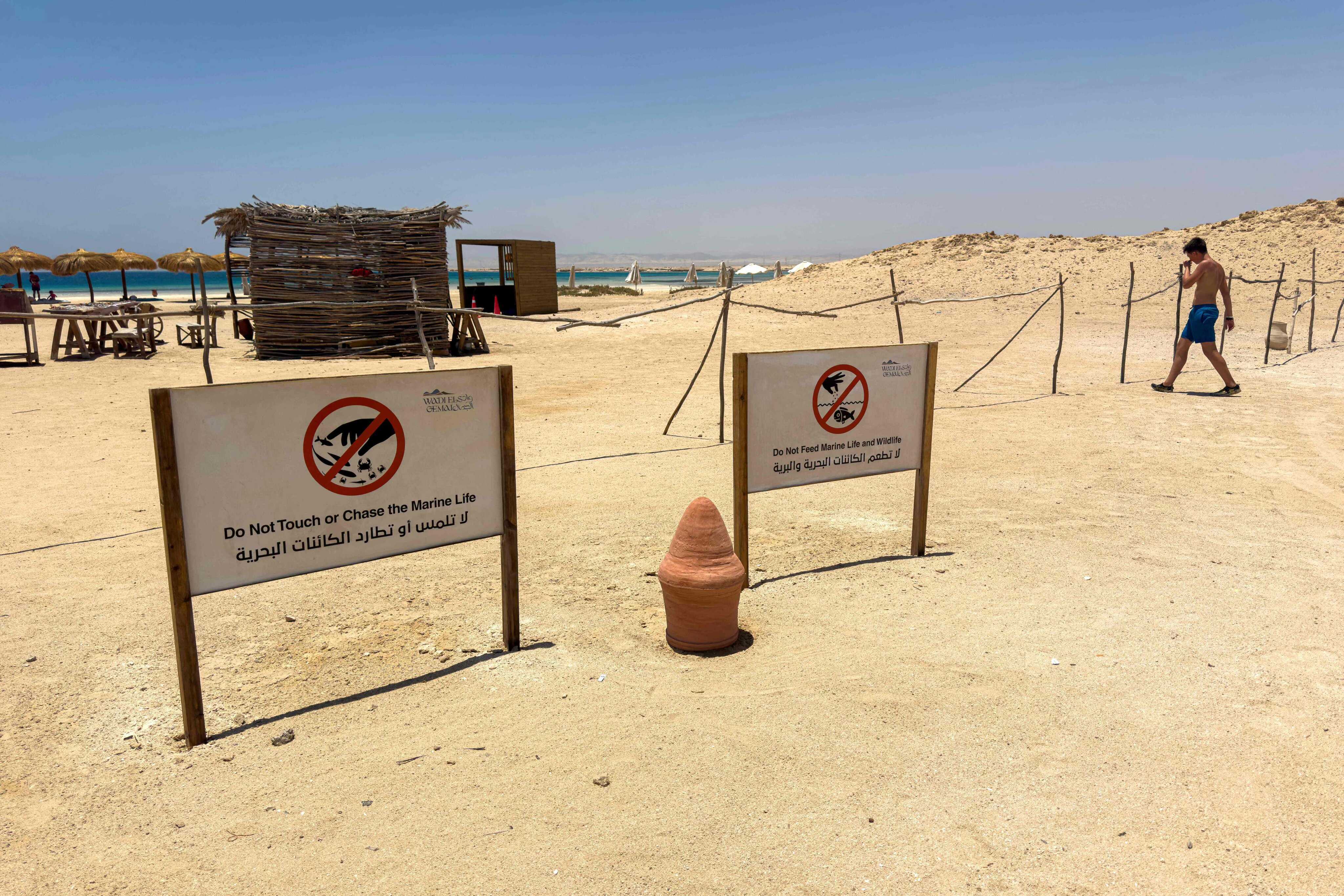 Signs urge visitors to respect wildlife at the Ras Hankorab beach in southern Egypt. Photo: AFP