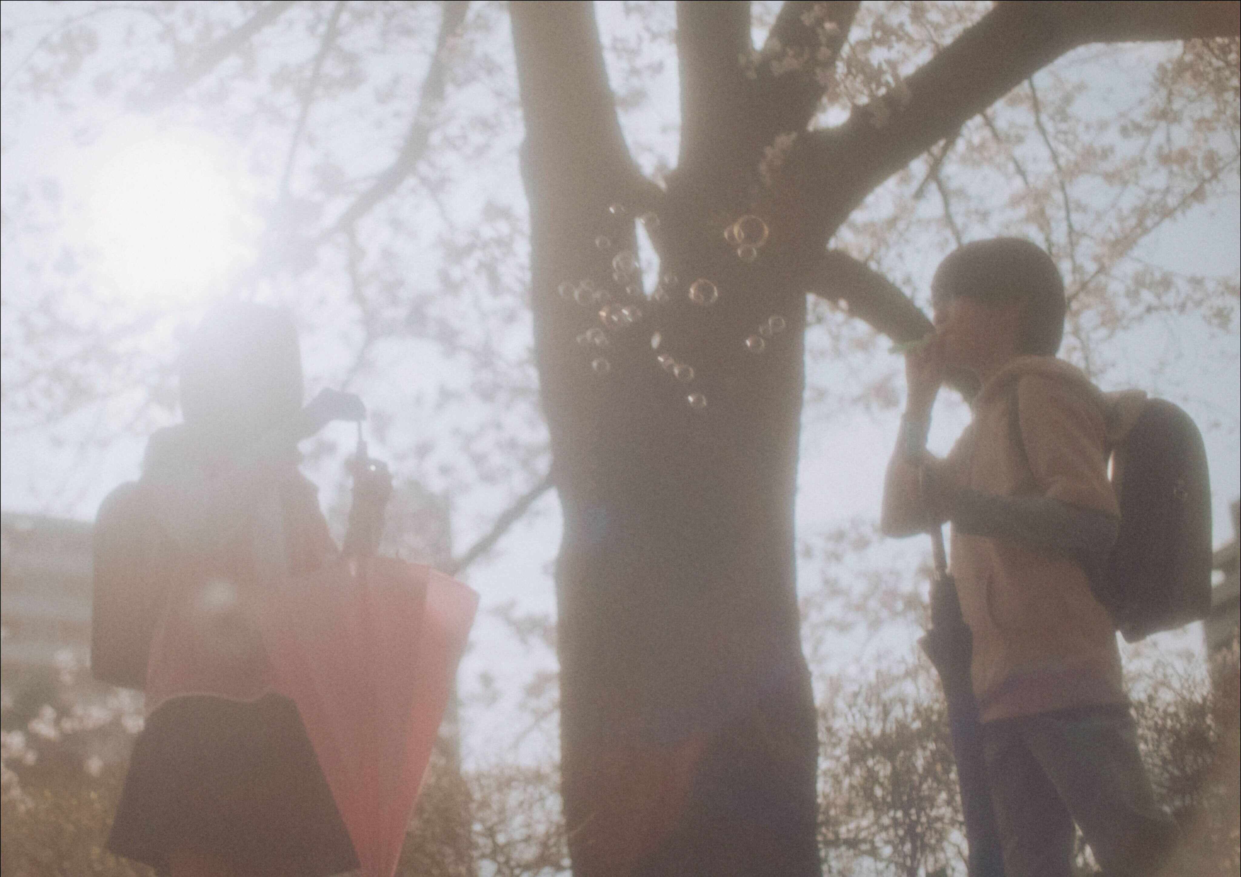 Makoto Shinkai’s story about the pain of connections that drift apart returns to the big screen under the direction of Yoshiyuki Okuyama. Photos: Handout