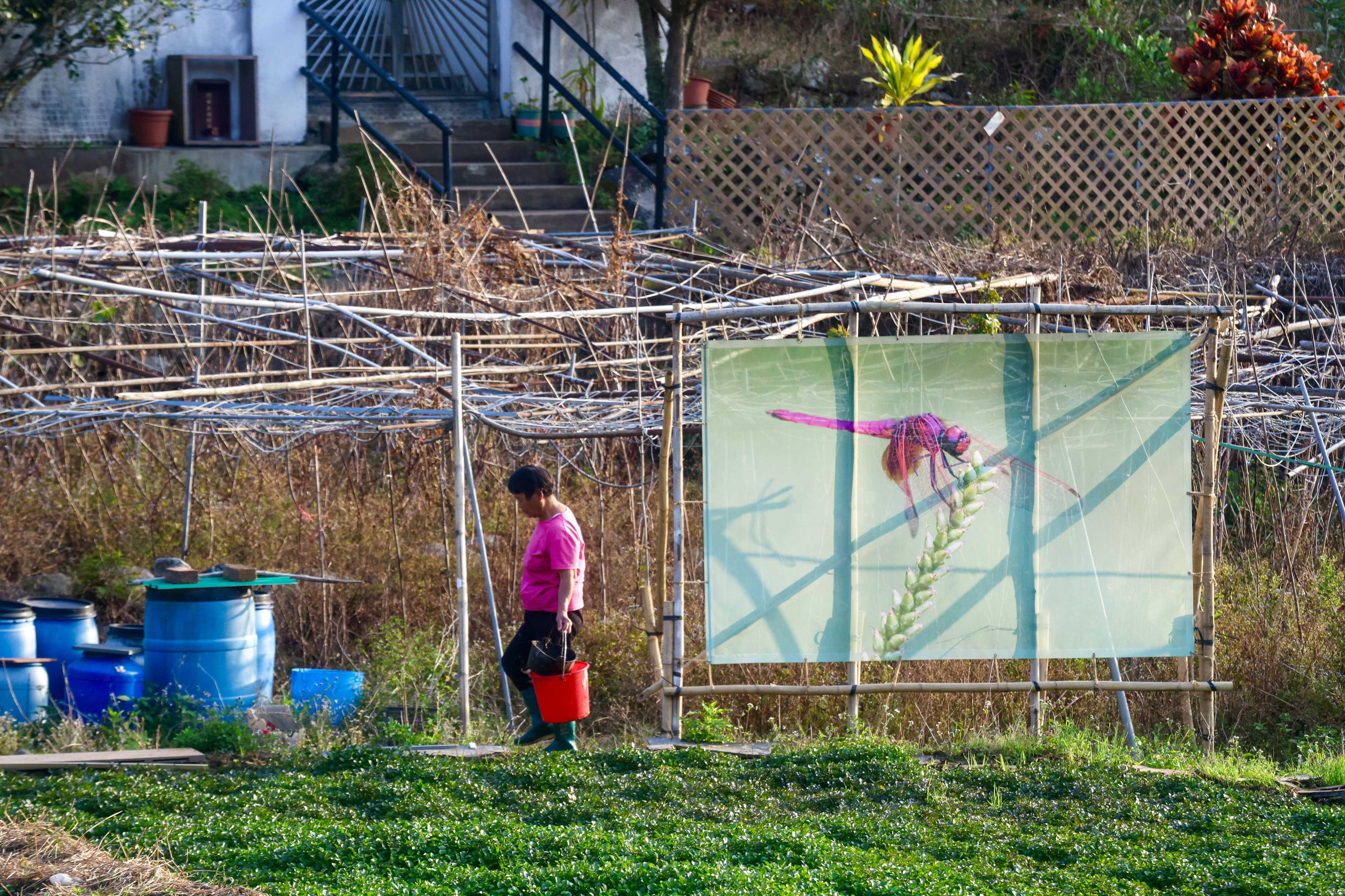 Exhibition and archive preserve historic Hong Kong Hakka village