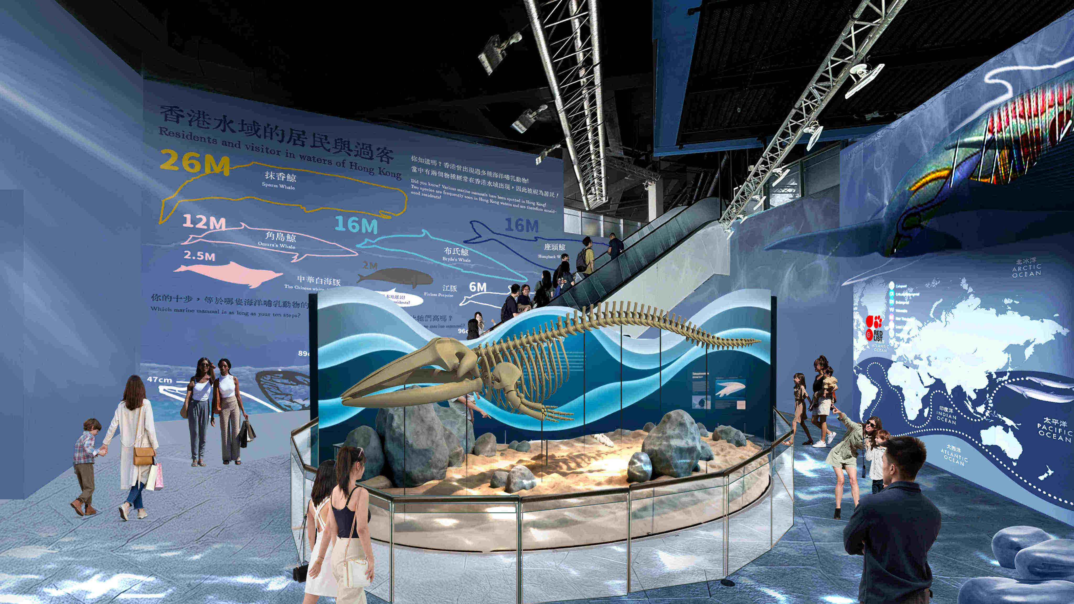 Set to open in 2027, a new section at Ocean Park will showcase the skeleton of the Bryde’s whale that was stranded in Hong Kong waters in 2023. Photo: Handout