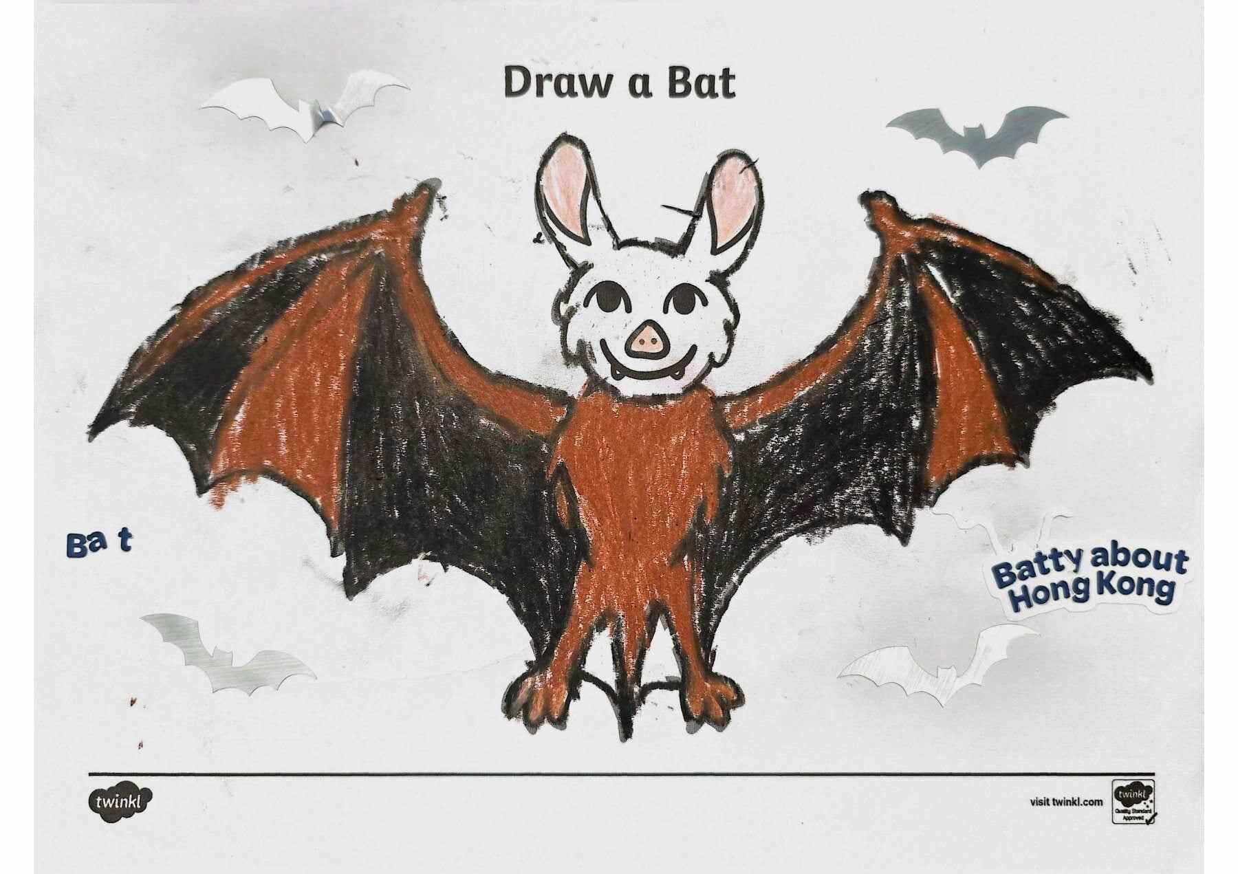 Arnold Lu’s picture of a bat. Bats, he explains, are a key part of Hong Kong’s ecosystem. Photo: Handout
