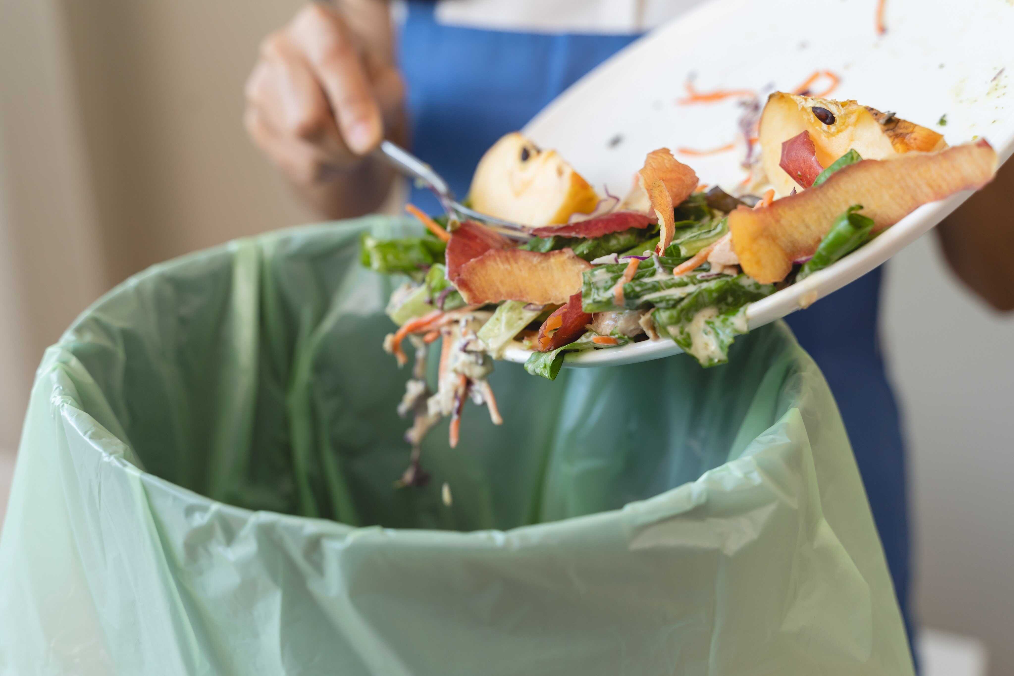 Discover simple, practical ways to cut food waste, save resources and support global sustainability Photo: Shutterstock 