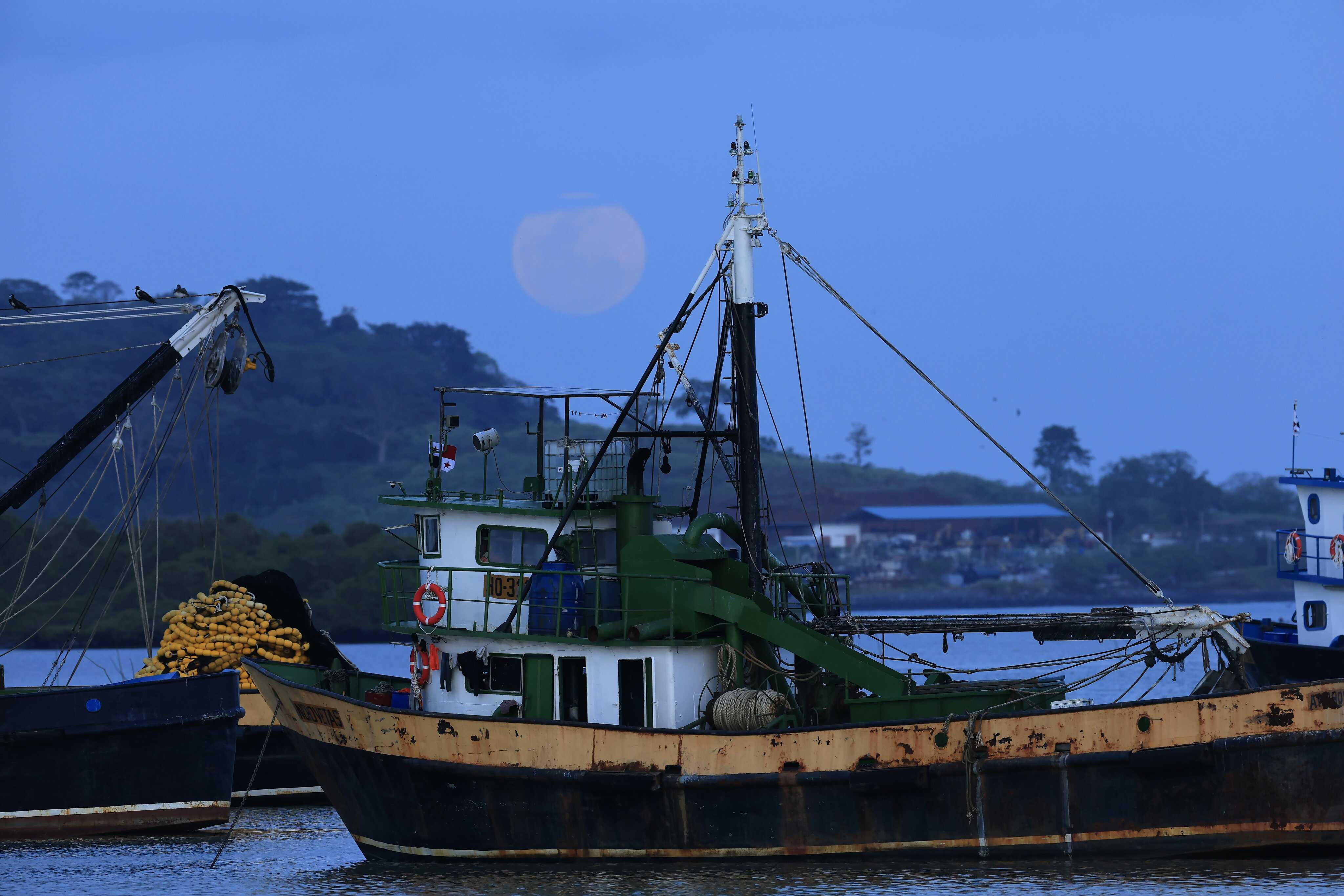 A view of the pink full moon as viewed from the village of Puerto Caimito in La Chorrera, Panamaon April 1 2026. Photo: EPA