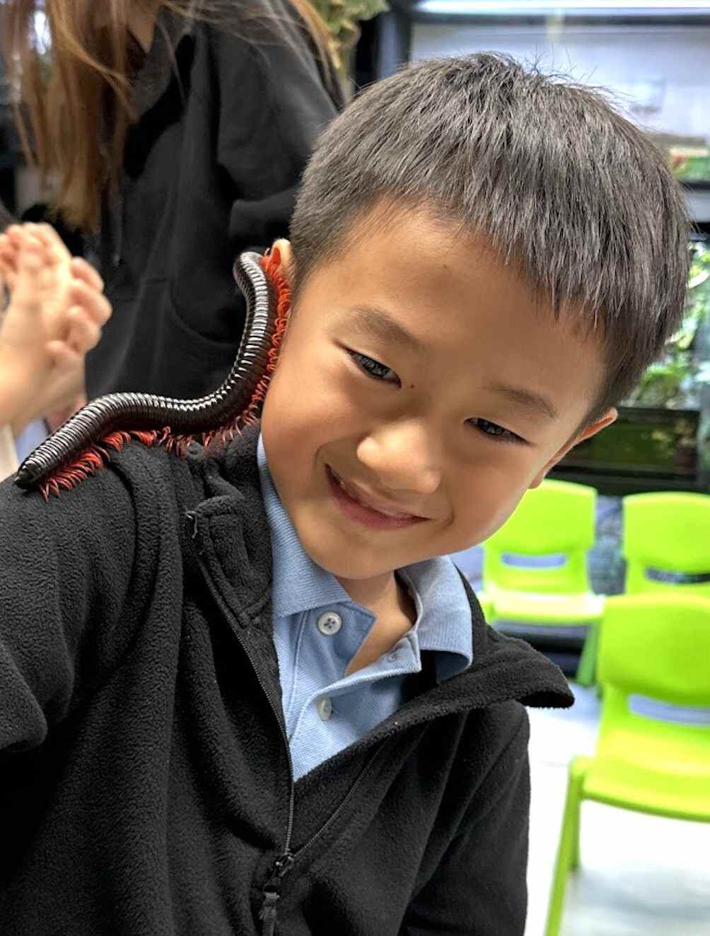 Marvin To from Pui Ching Primary School met a millipede up close. Photo: Handout