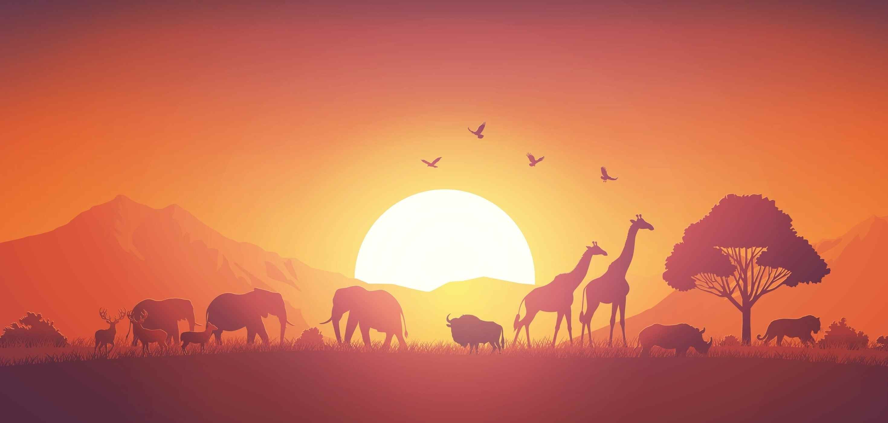 Do you know any interesting information about animals? Photo: Shutterstock