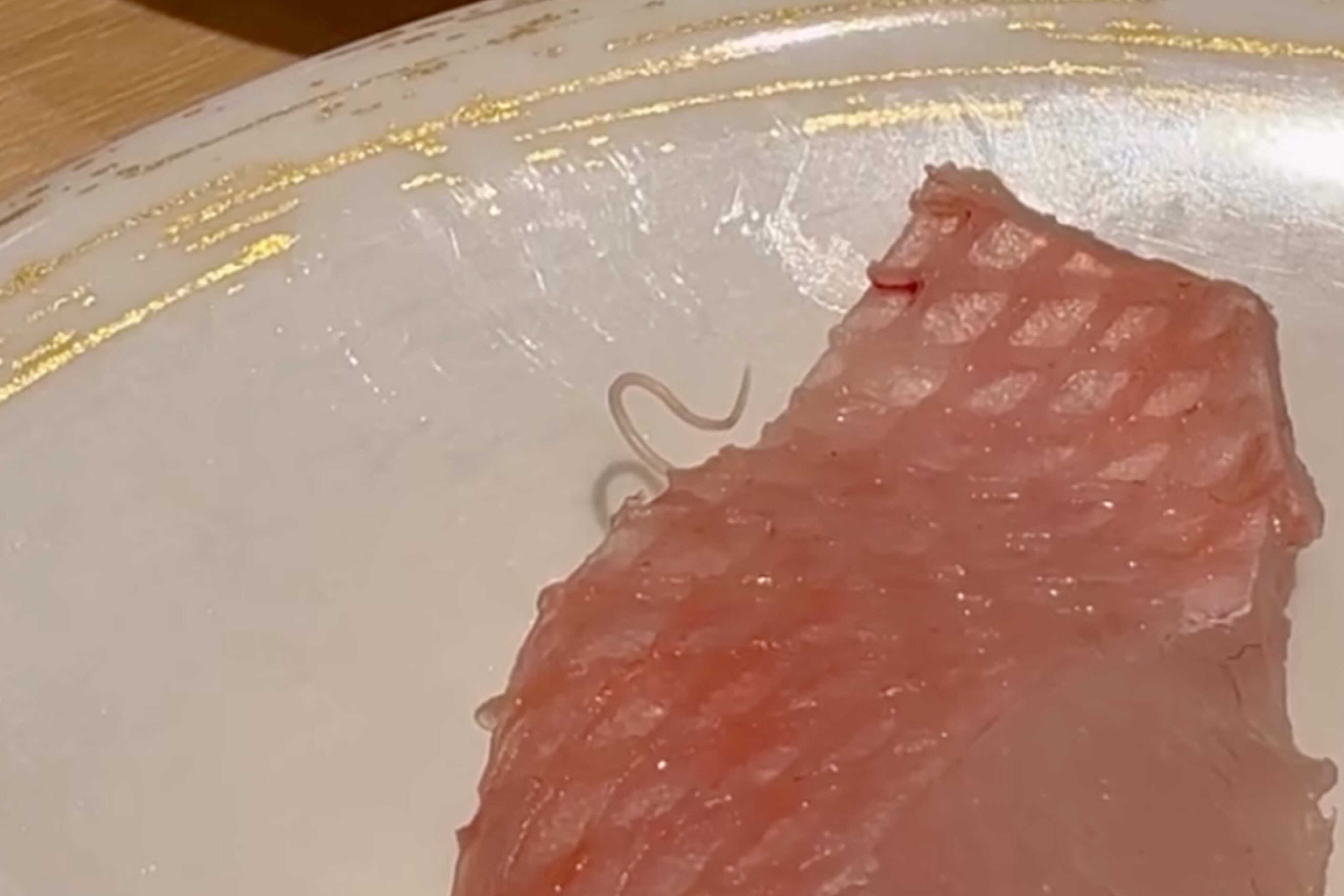Parasite found in sashimi at Gatten Sushi triggers raw emotions | Young ...