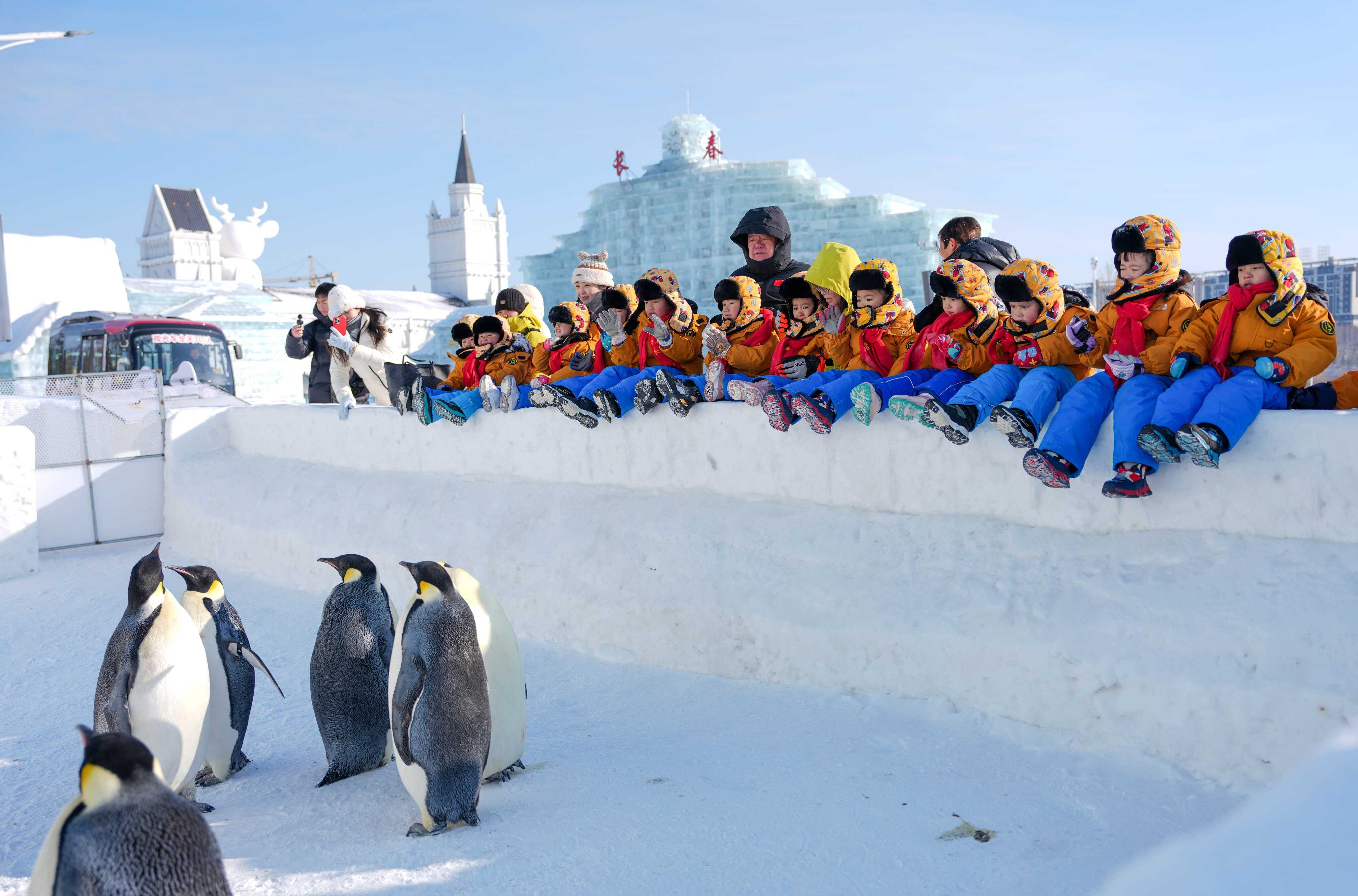 Children from southwest China’s Guangxi Zhuang Autonomous Province watch penguins at Changchun Ice and Snow New World in Changchun, northeast China’s Jilin Province. Photo: Xinhua