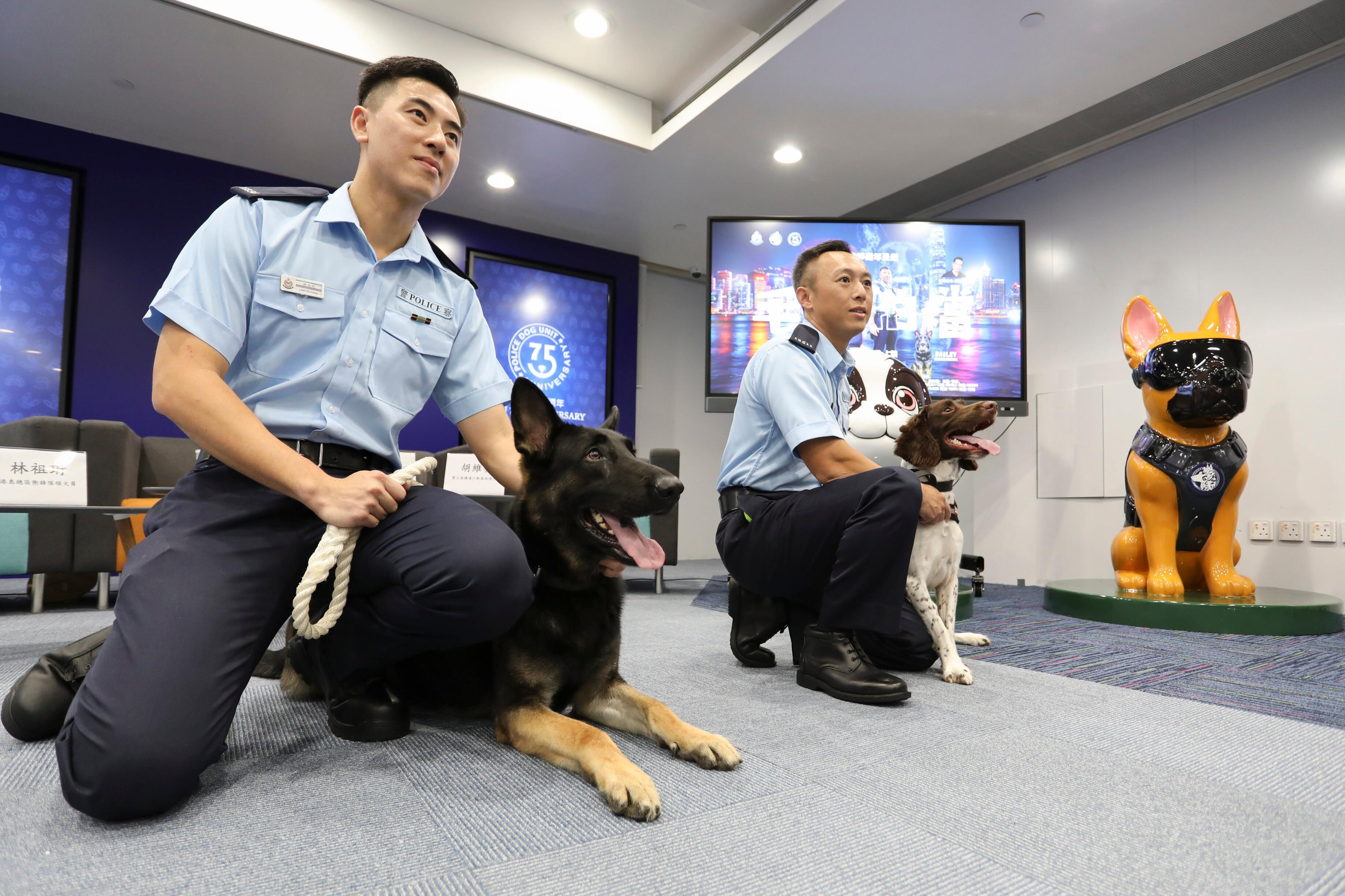 Hong Kong police dogs find soft landings after years of service