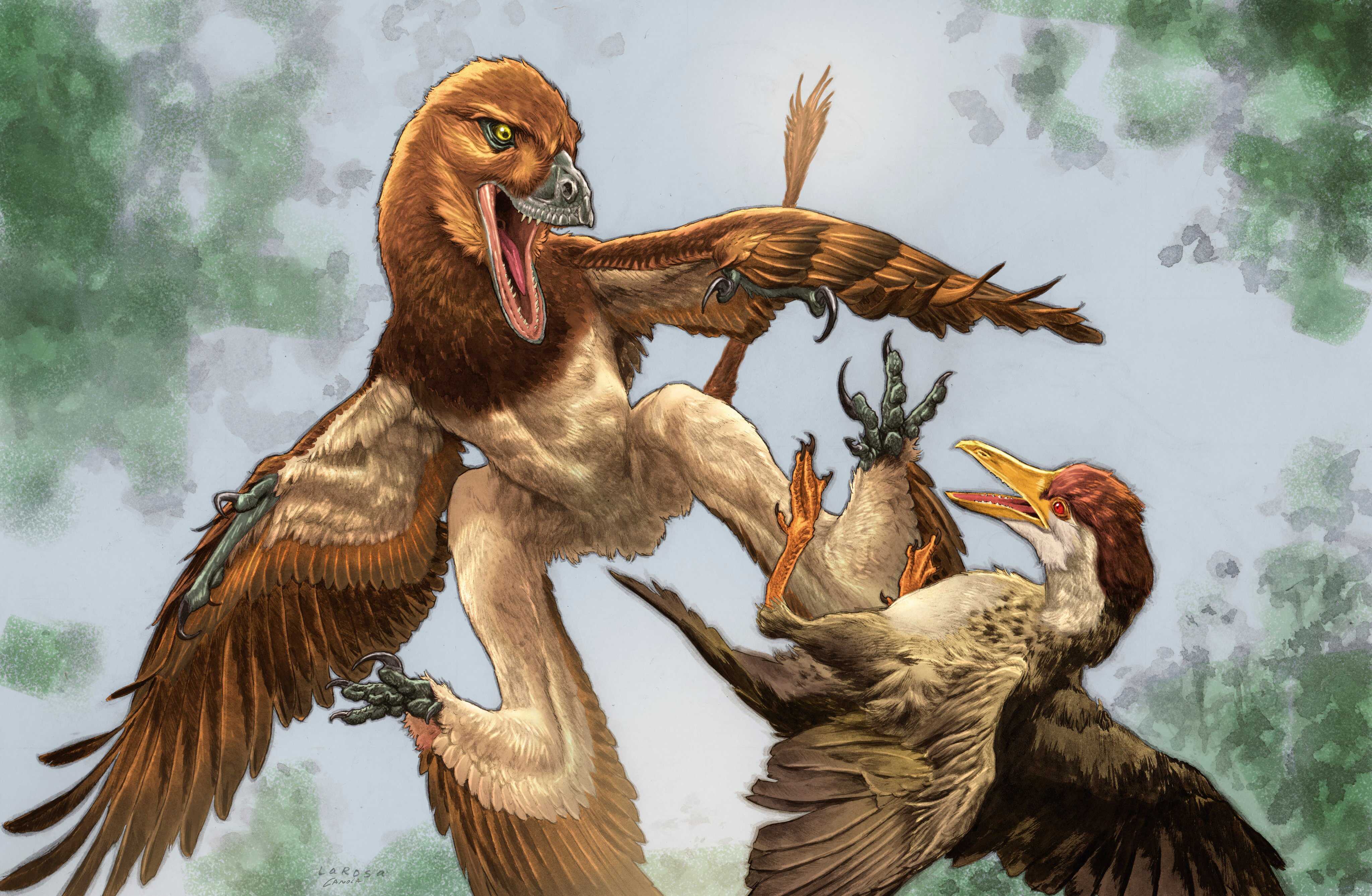 This illustration shows the newly identified dinosaur Jian changmaensis (left) attacking the bird Gansus yumenensis in what is now the Changma Basin of northwestern China approximately 120 million years ago. Illustration: Lewis LaRosa, colorised by Jao Canola/Handout via Reuters