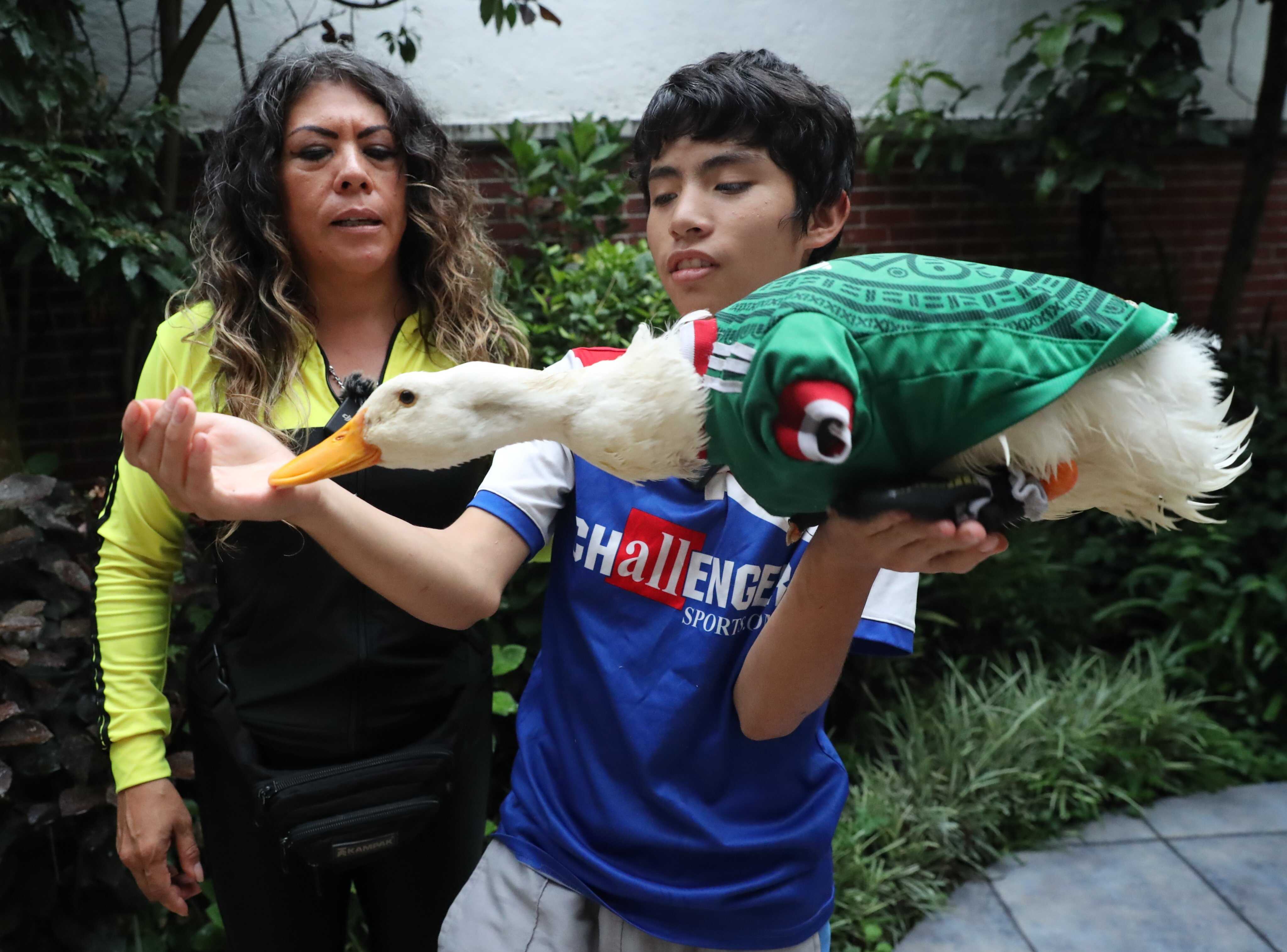 Merlin the duck, Mexico’s unofficial World Cup mascot, charmed fans but was barred from stadiums due to Fifa’s animal regulations. Photo:  EPA