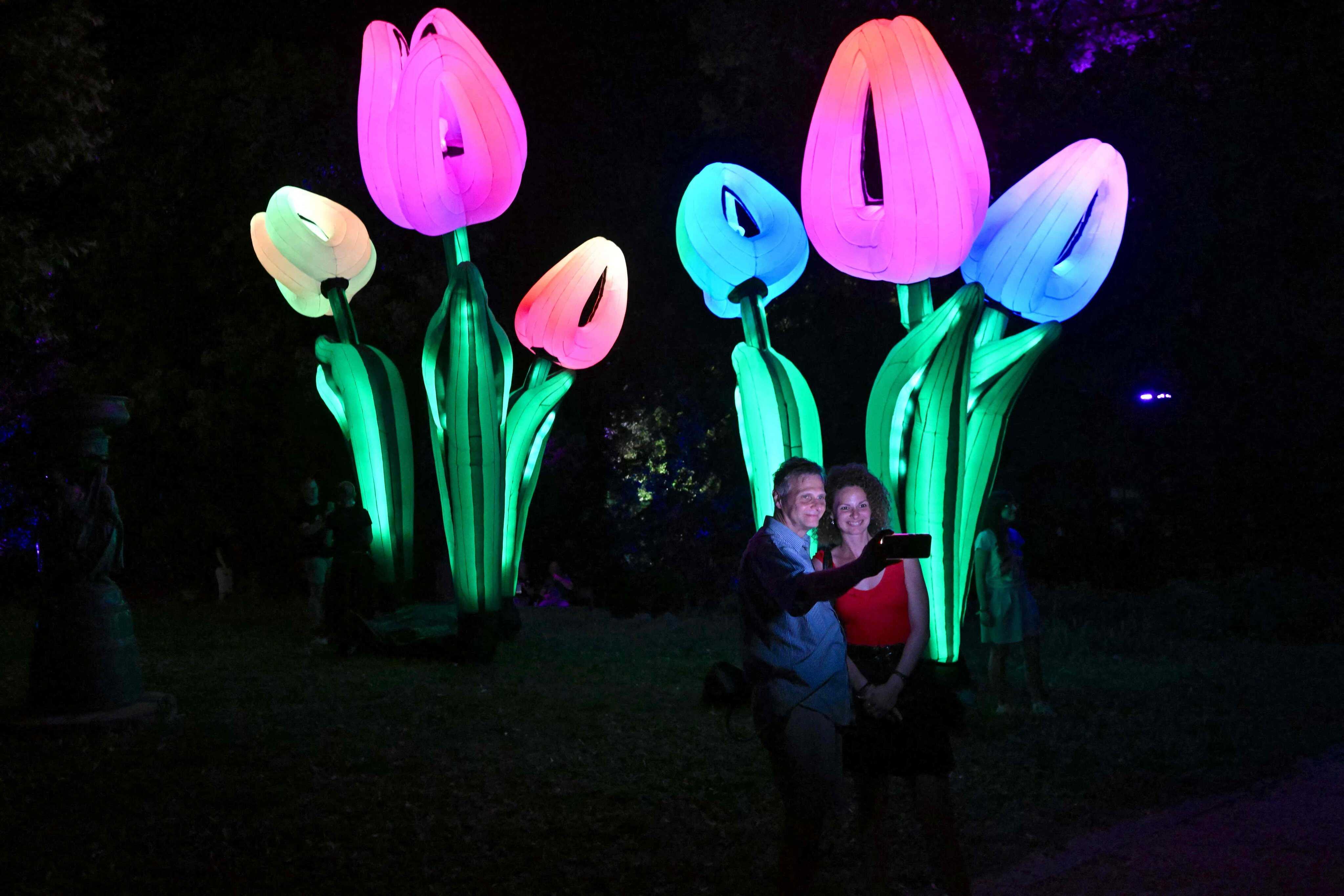 This week, one reader considers living in the present, soaking in the moment like tulips in the sun. Photo: AFP