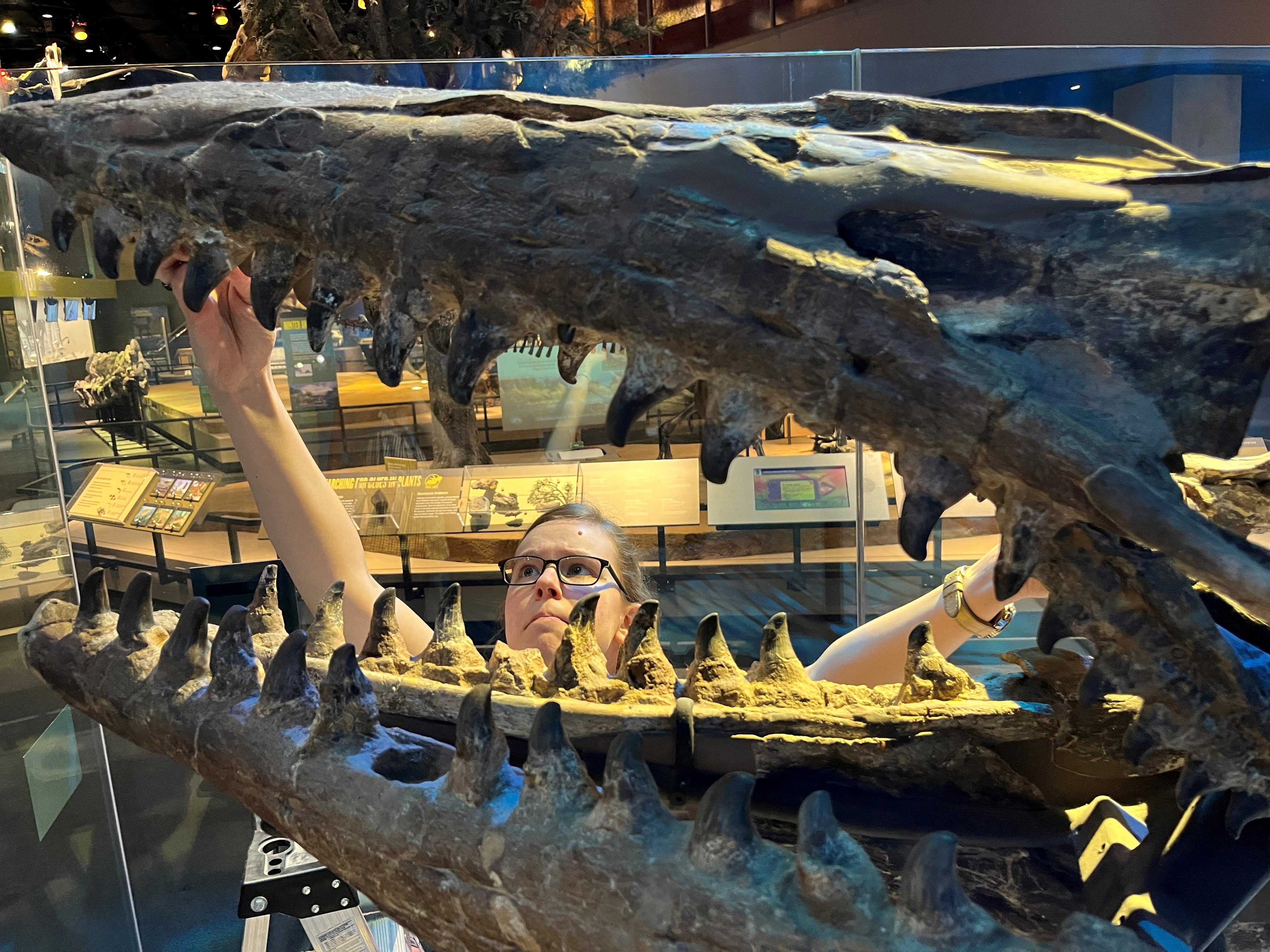 Researcher Amelia Zietlow examines a ”Tylosaurus rex” skeleton at the Perot Museum of Nature and Science in Dallas, Texas, US. Photo: Reuters