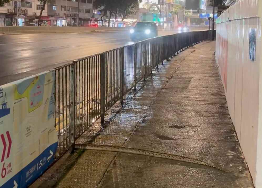 A Burmese python was spotted in Causeway Bay on Sunday. Experts say Hong Kong’s weeks of heavy rain may have pushed it out of its natural habitat and into urban areas. Photo: Handout