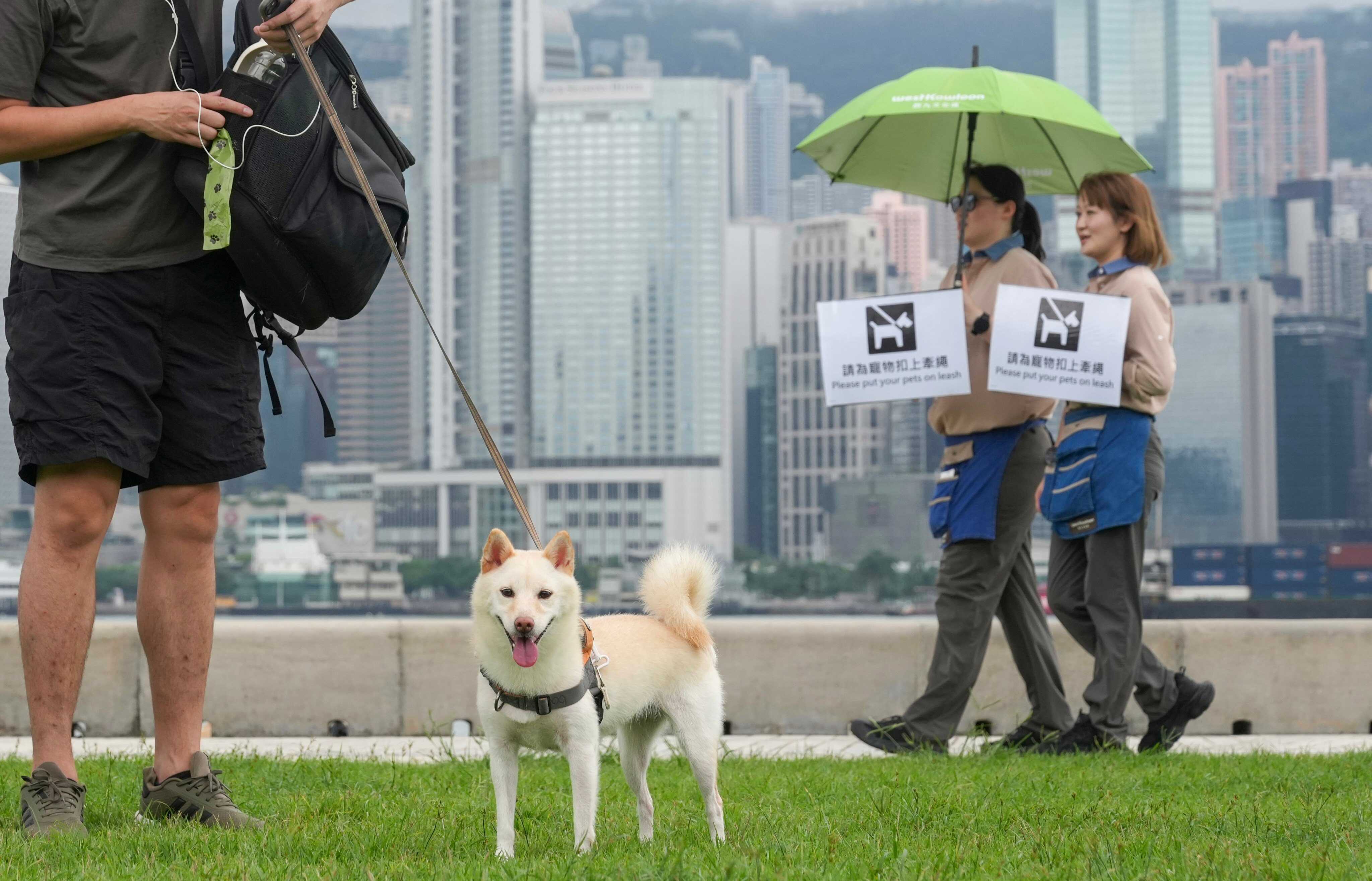 A man walks his leashed dog along the West Kowloon Promenade, as West Kowloon Cultural District staff hold signs reminding owners to keep their pets on a leash. Photo: Karma Lo
