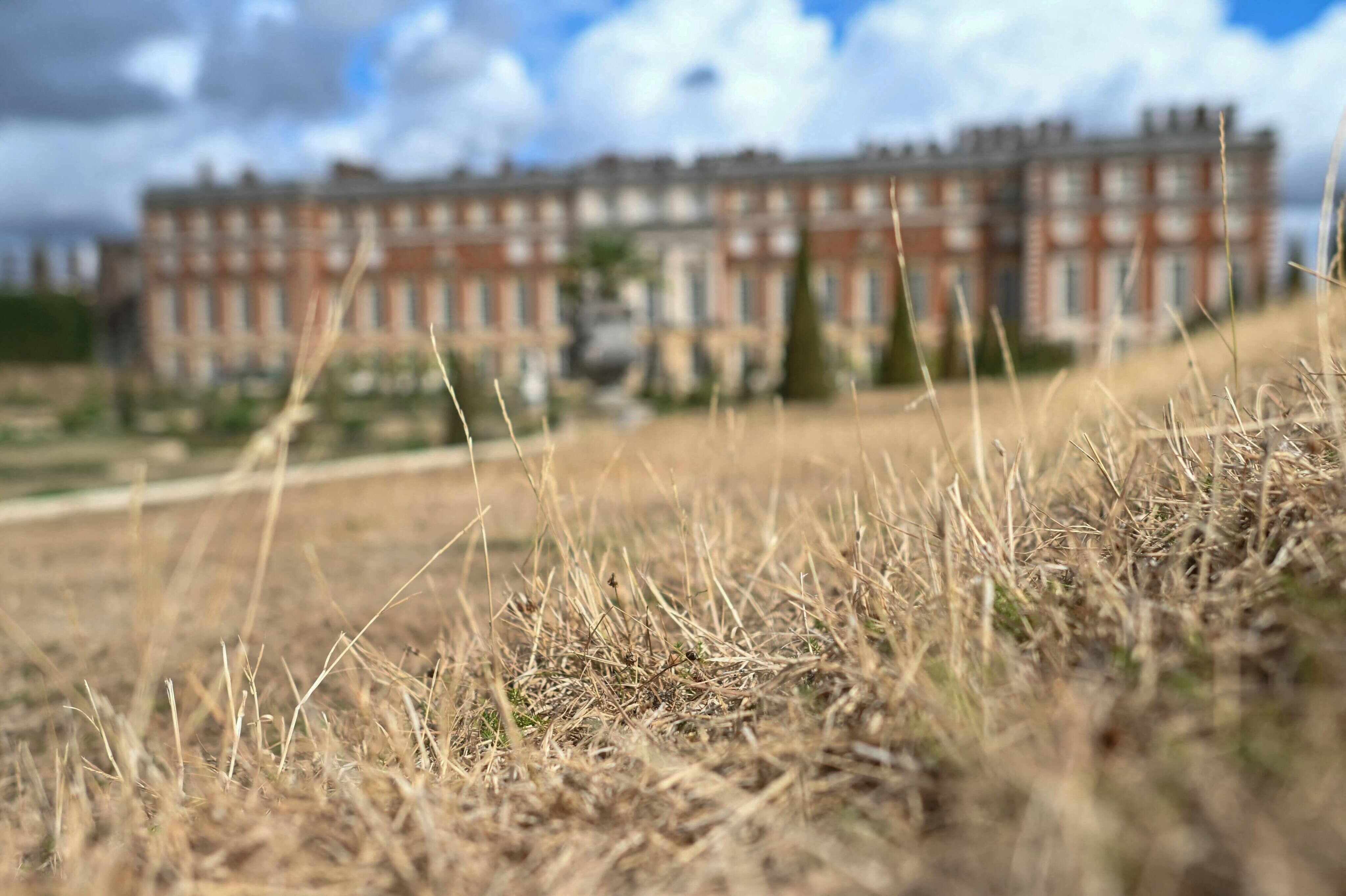 Ancient English gardens under threat from climate change
