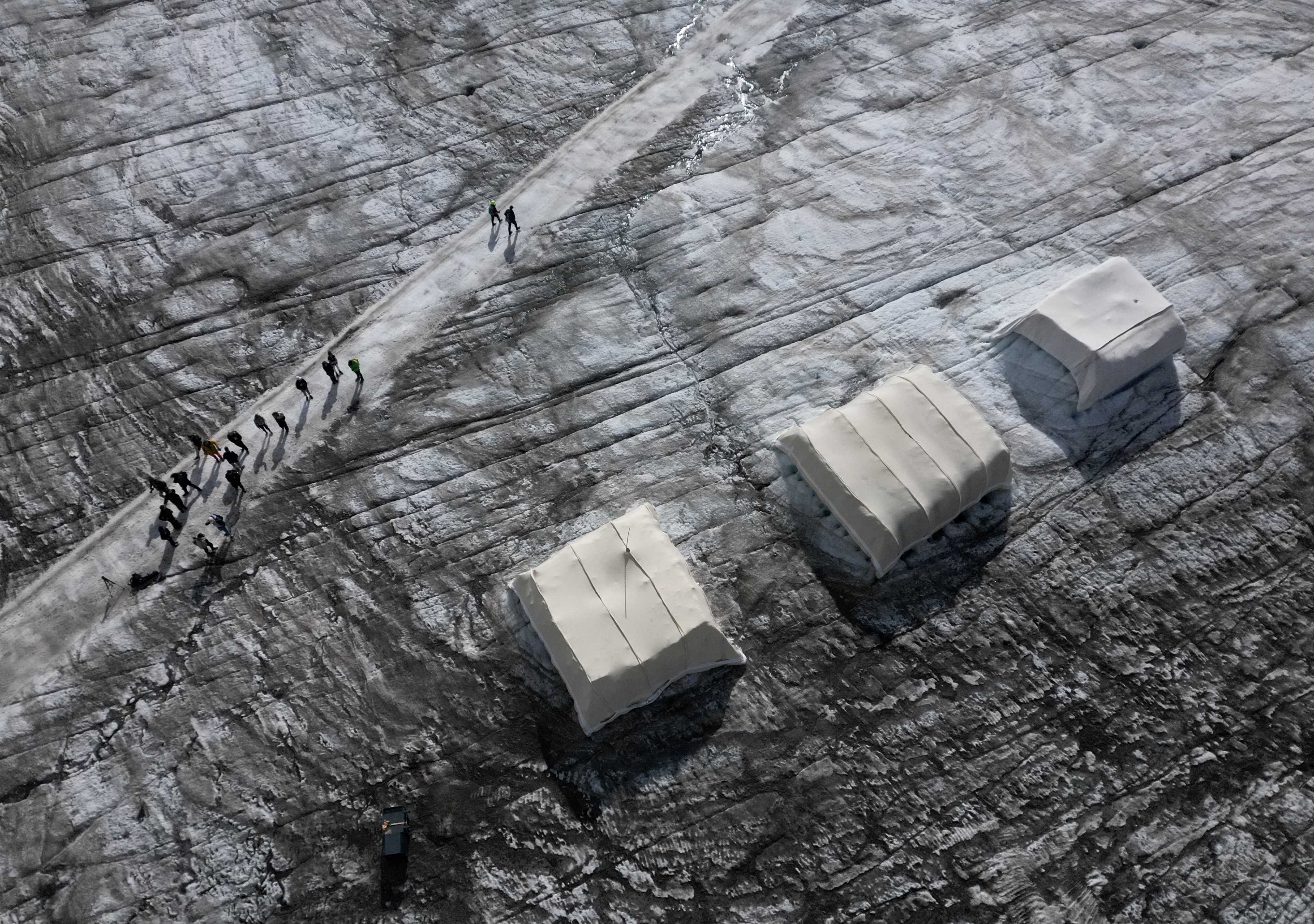 A snow protection test site is covered with sheep’s wool in Switzerland. Photo: Reuters