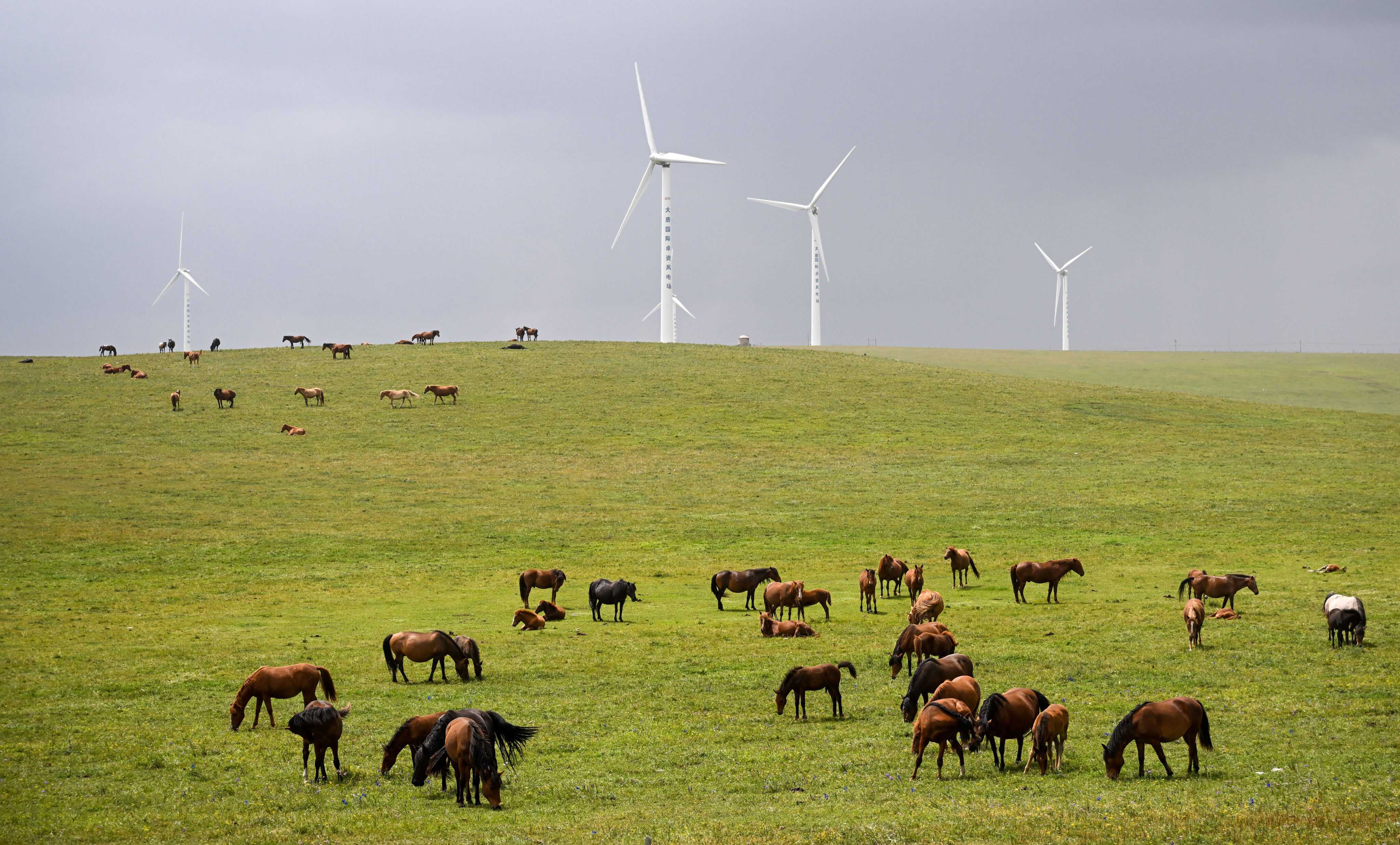 The scenery of Huitengxile Grassland in Ulanqab, a city in northern China’s Inner Mongolia Autonomous Region. Photo: Xinhua