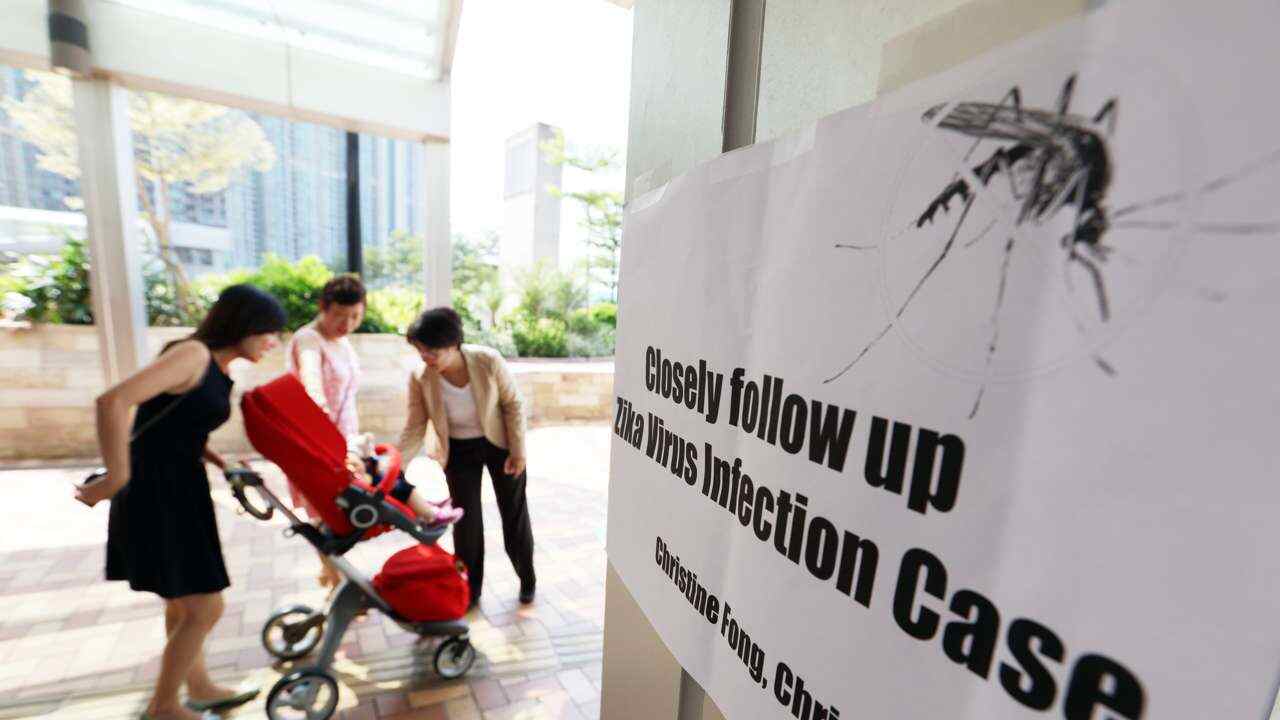 Zika warnings have appeared all over Lohas Park in Tseung Kwan O. 