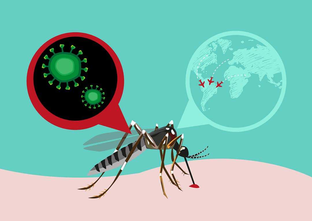 Where is Zika going?