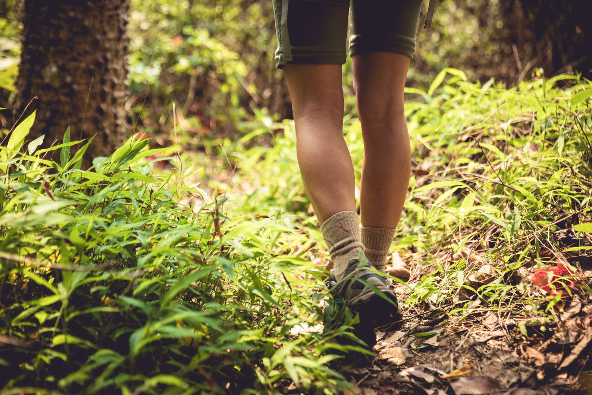 Off-trail hiking can be dangerous if you don’t know what you’re doing. Photo: Shutterstock