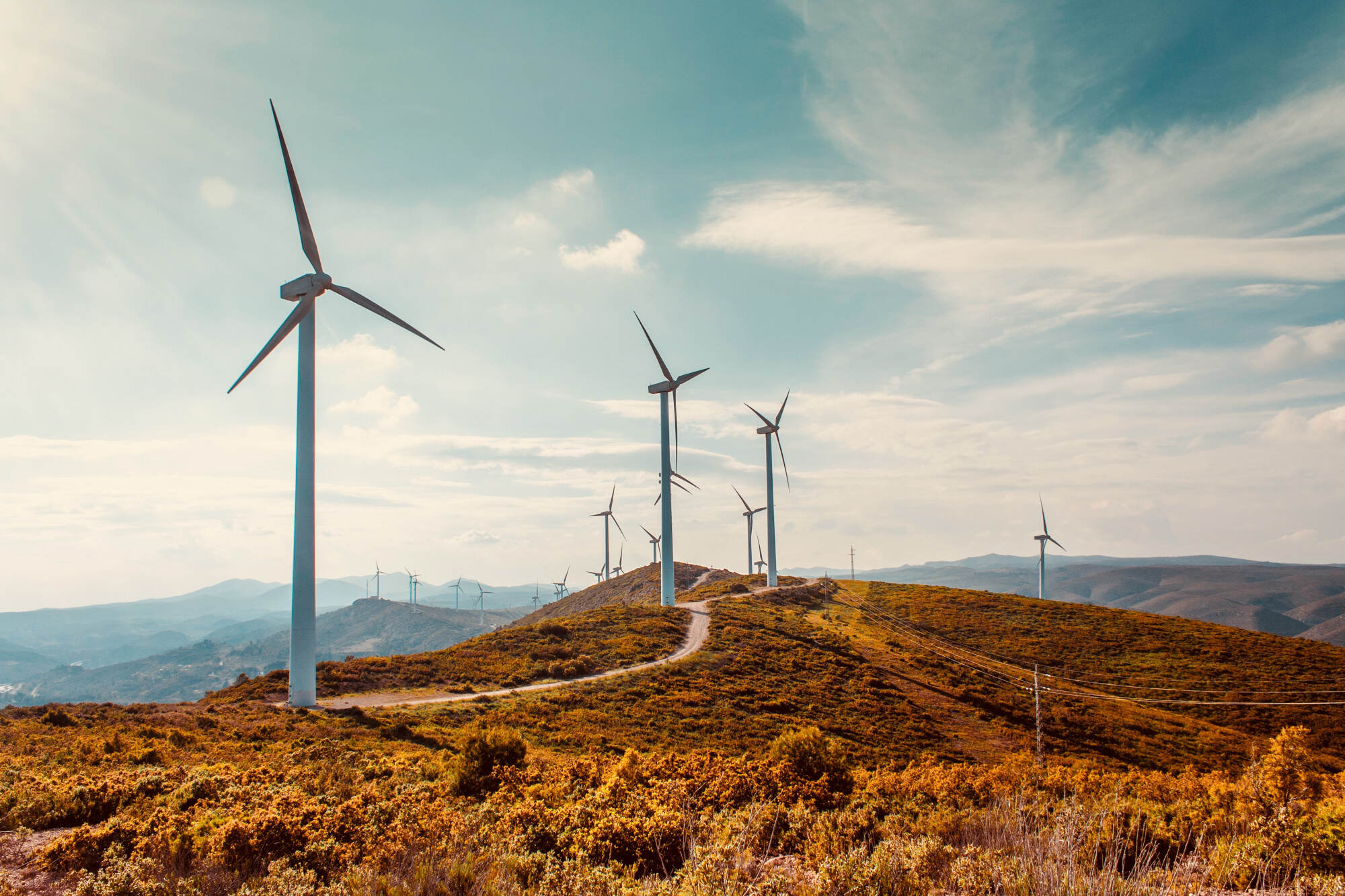 Wind energy is one of the cheapest source of electricity and its unit costs have dropped 55 per cent in a decade. Photo: Shutterstock
