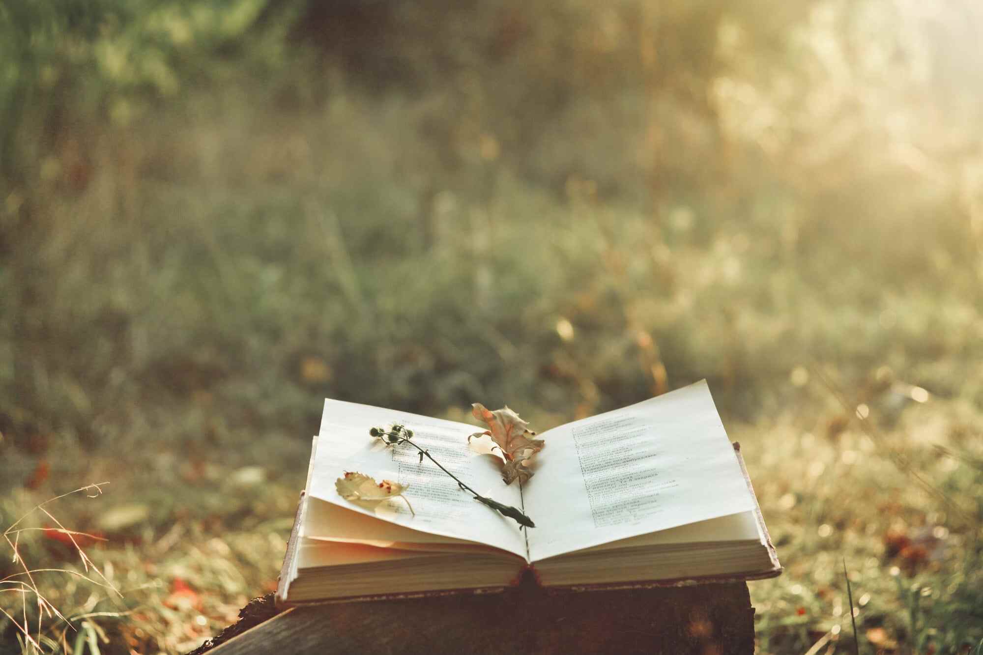 Use figurative language in your writing to paint a picture with your words. Photo: Shutterstock