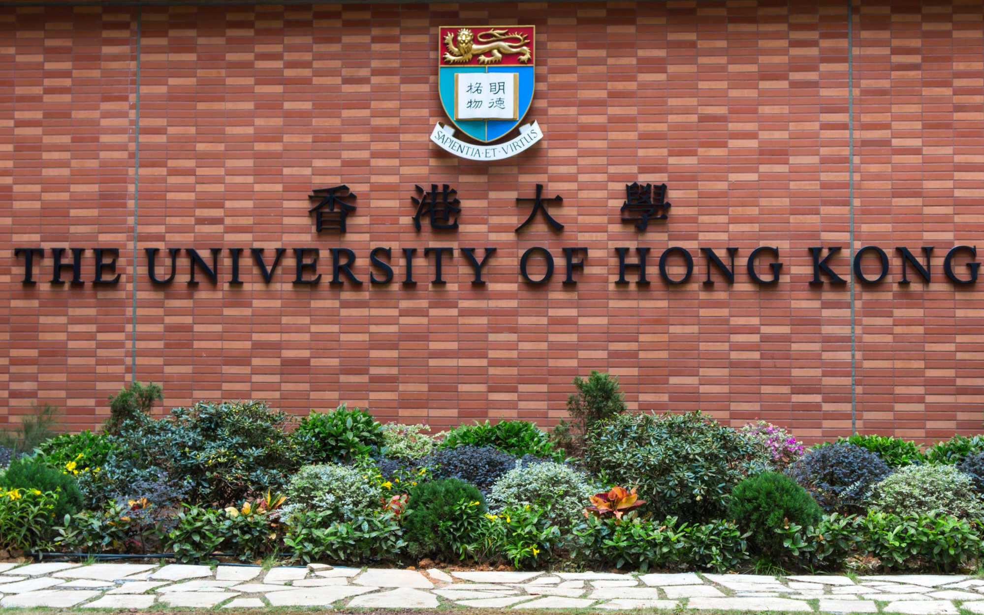 Nayab said she may transfer to HKU medicine after a year of studying at HKUST. Photo: Shutterstock