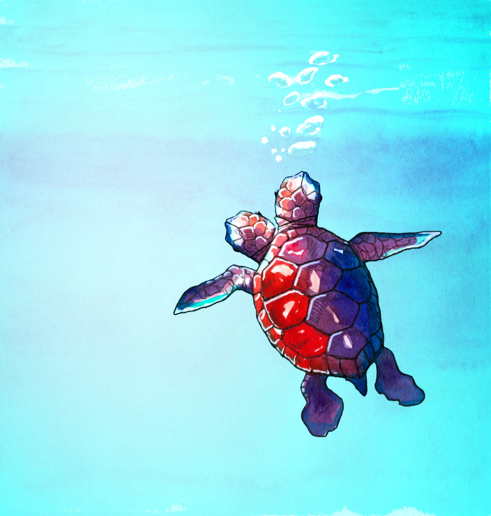 We must do all we can to protect marine life before it is too late. Illustration: Shutterstock