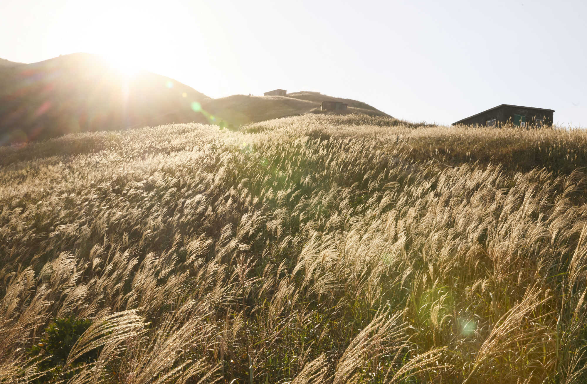 Lantau Island is a treasure trove of beautiful hikes and cultural heritage. Photo: Dickson Lee