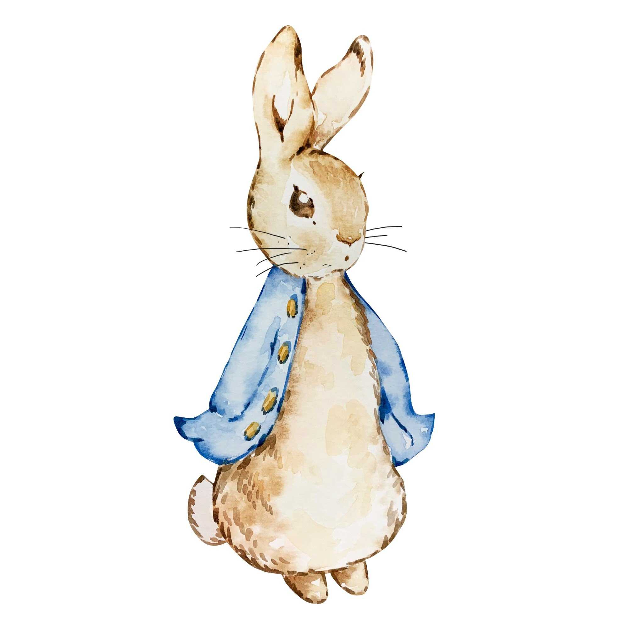 Peter Rabbit is one of the world’s most iconic children’s book characters. Photo: Shutterstock