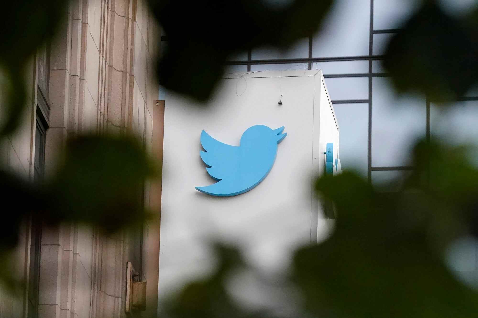 New research shows climate misinformation has been flourishing on Twitter since Elon Musk purchased the platform last year. Photo: AP