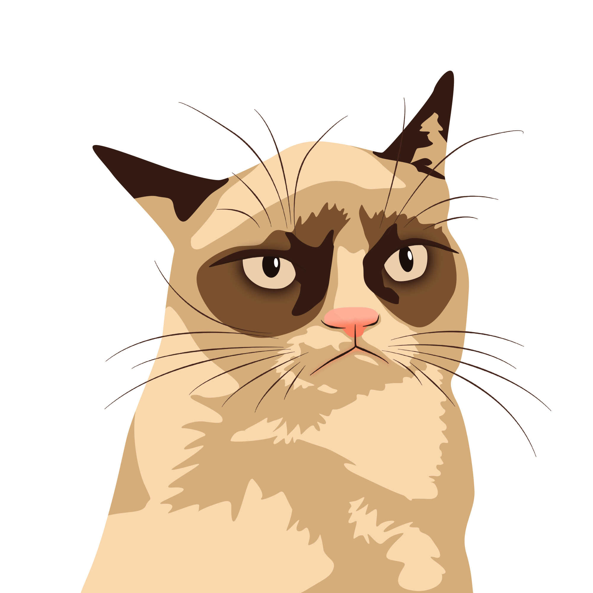 Grumpy cat is great for entertainment, but not so much for learning. Photo: Shutterstock
