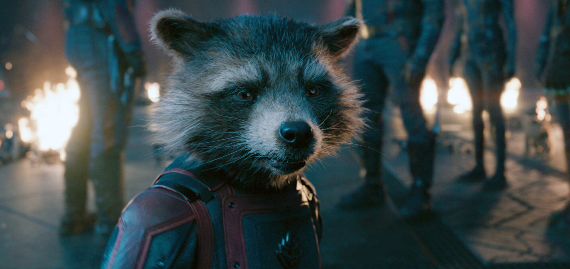 Rocket, voiced by Bradley Cooper, faces his past in Guardians of the Galaxy Vol 3. Photo: Marvel-Disney via AP