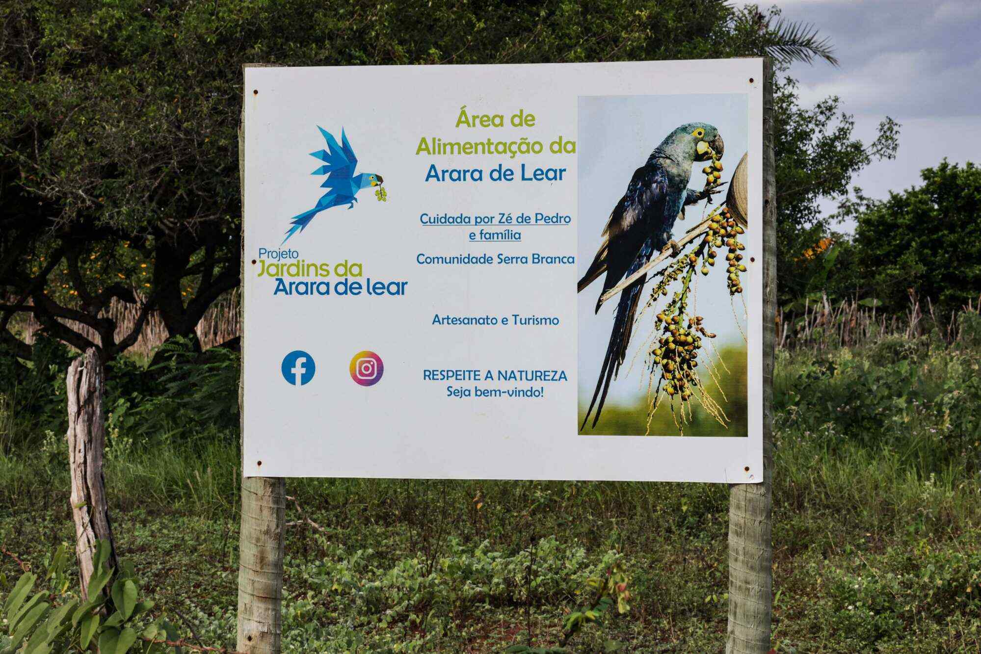 A sign indicating a feeding area for Lear’s macaws in Serra Branca, Bahia state, Brazil. Photo: AFP