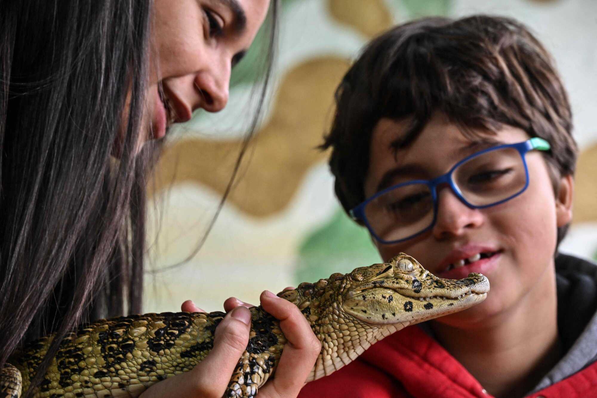Biologist Beatriz Araujo attends patient Gabriel de Oliveira during a therapy session. Photo: AFP