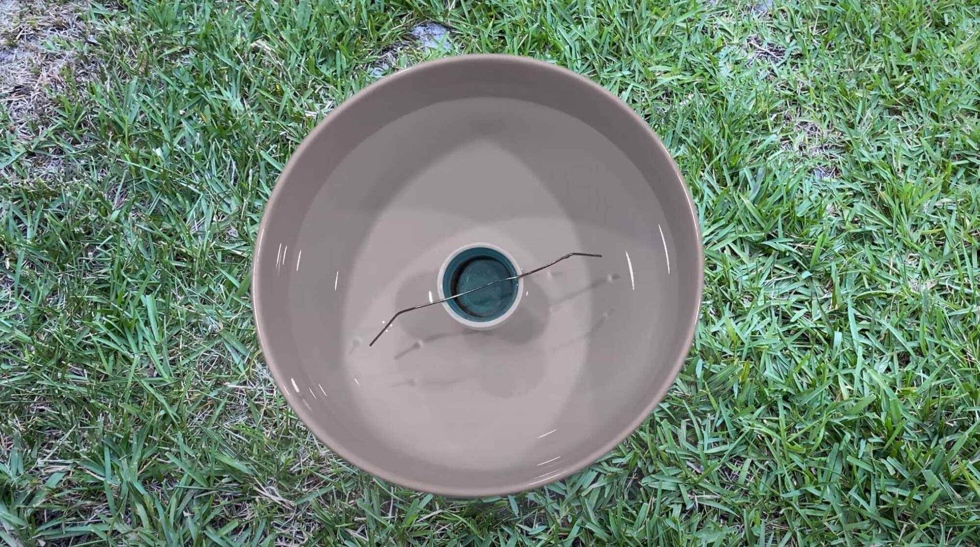You can make your own compass using common household items. Photo: Shutterstock