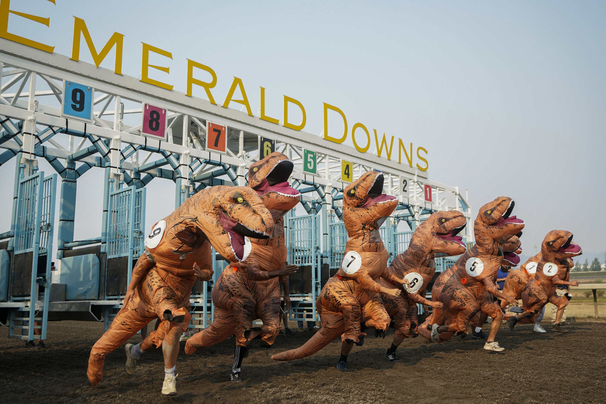 Racers at the T-Rex World Championship Races in Washington, United States. Photo: AP