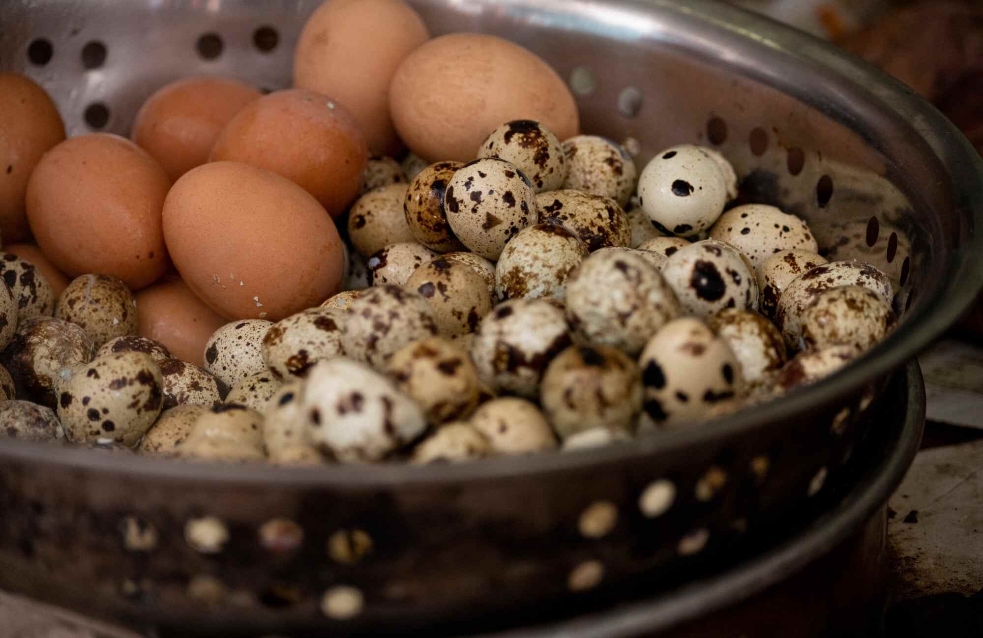 Baked quail eggs are a popular street food in Hong Kong. Photo: Shutterstock