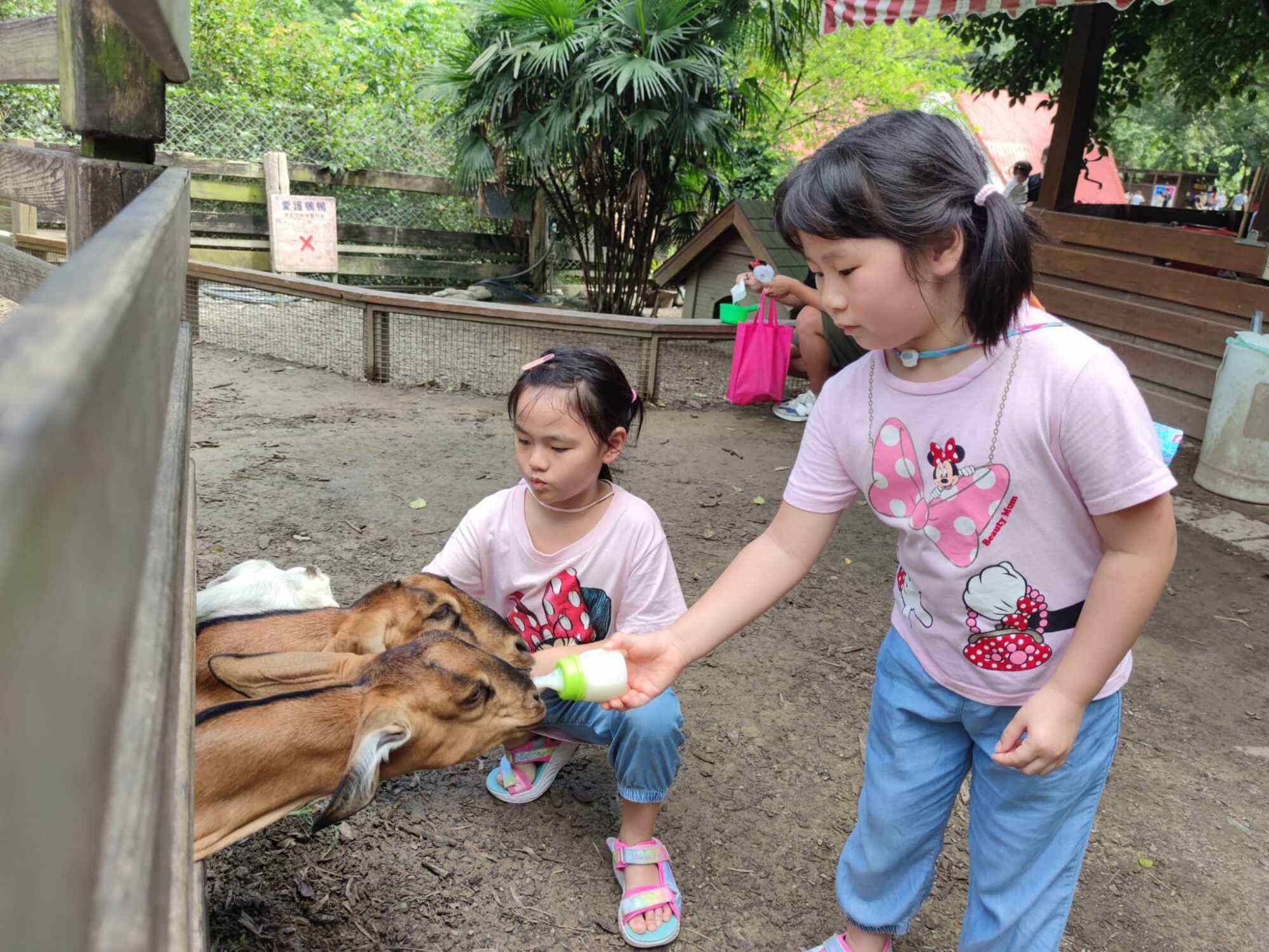Vienna Chan had a fun time in Taiwan. Photo: Handout